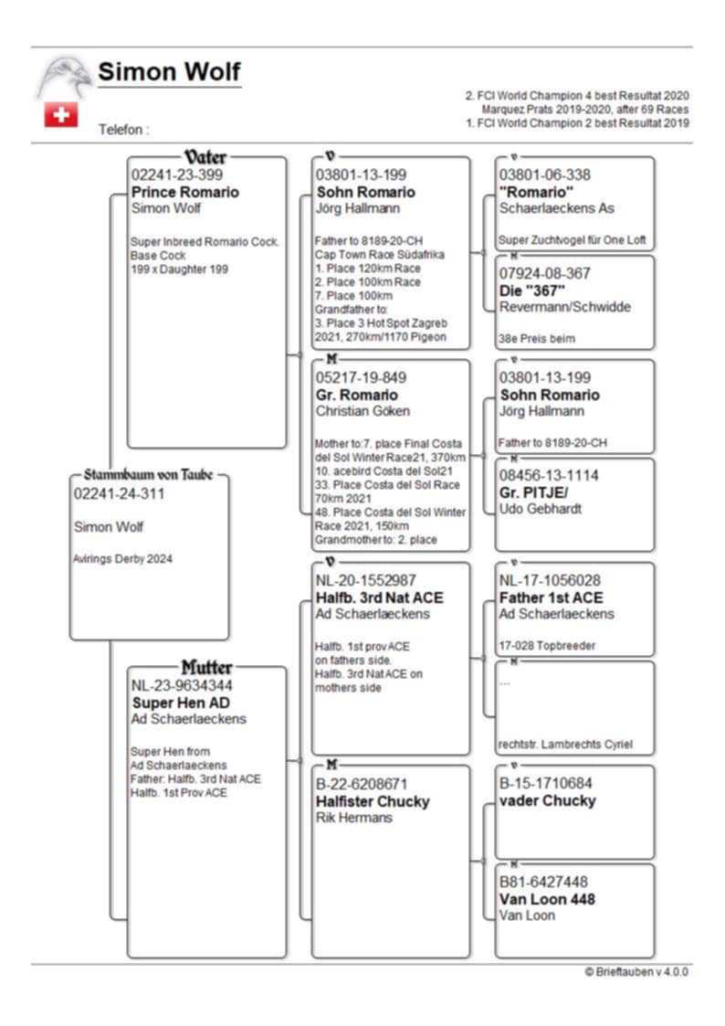 Pigeon pedigree image