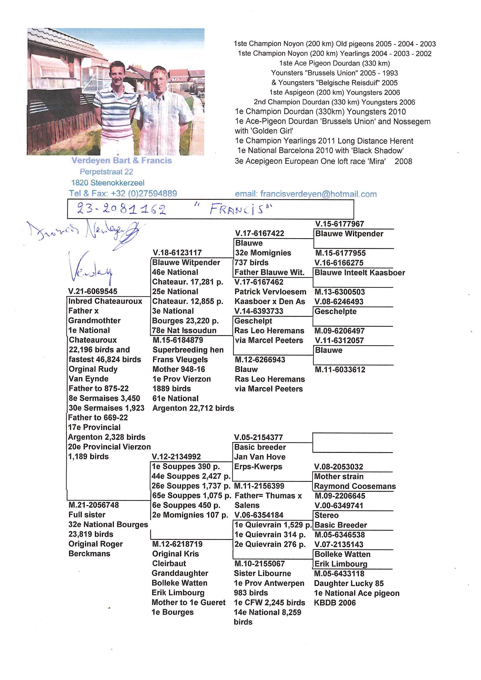 Pigeon pedigree image