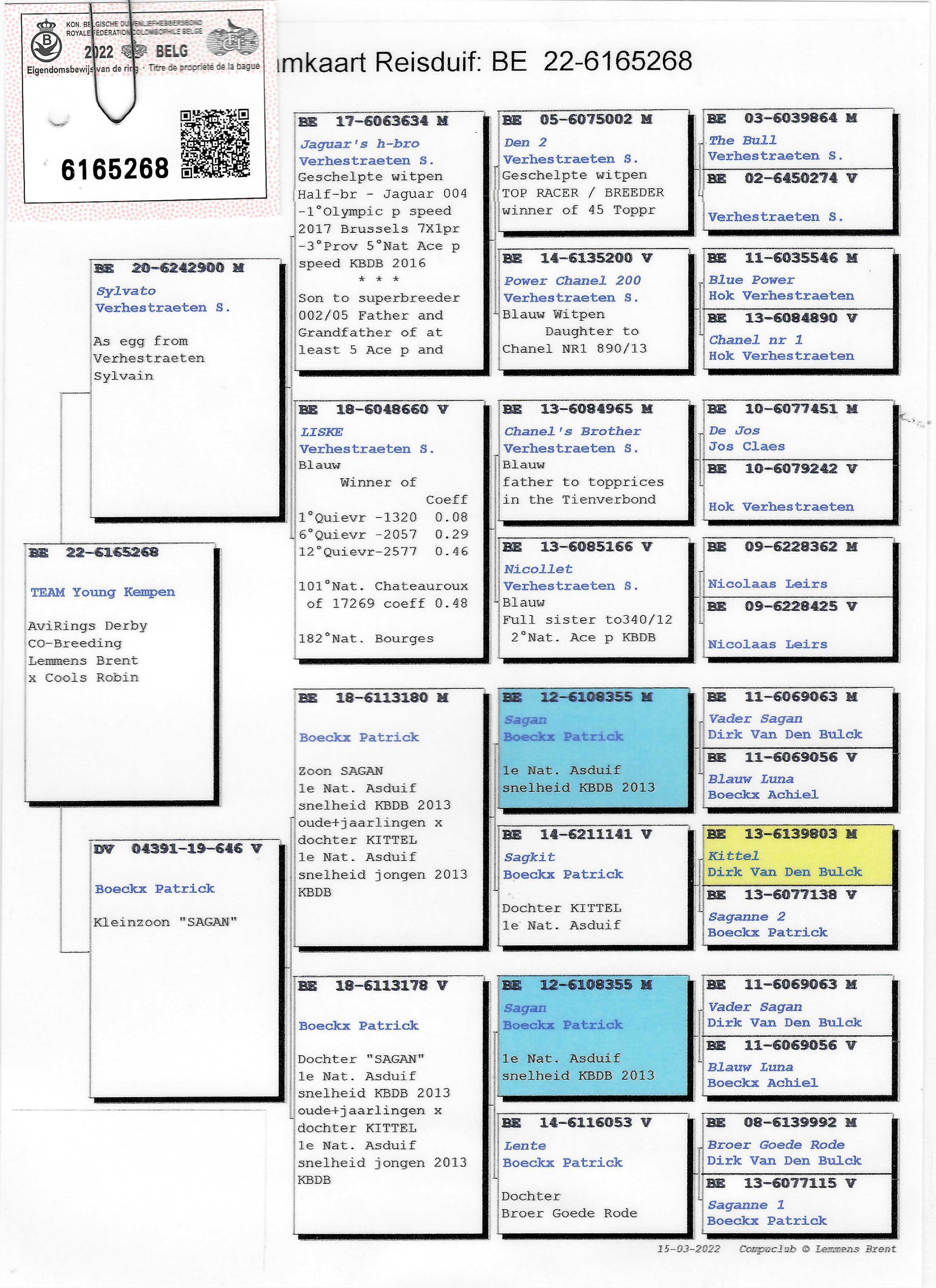 Pigeon pedigree image