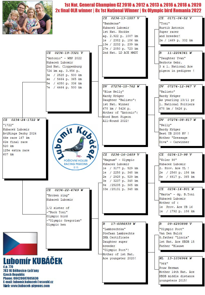Pigeon pedigree image