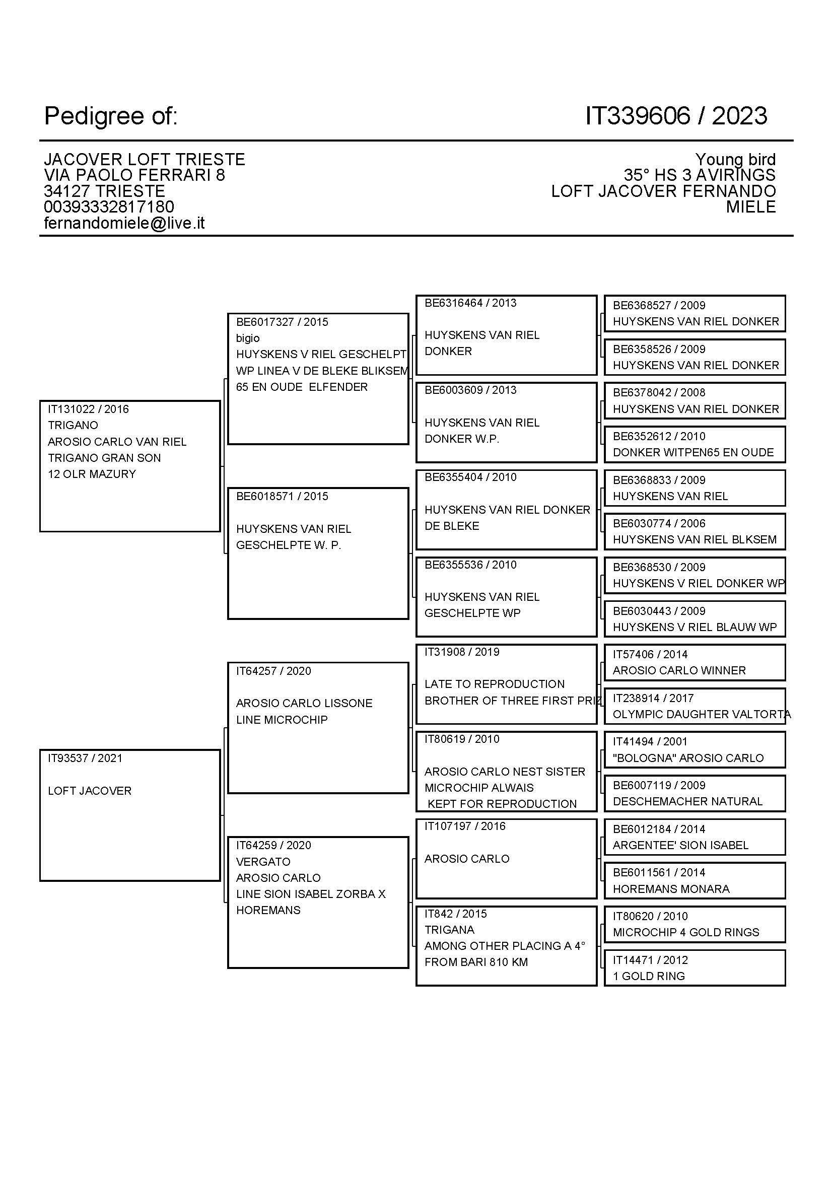 Pigeon pedigree image