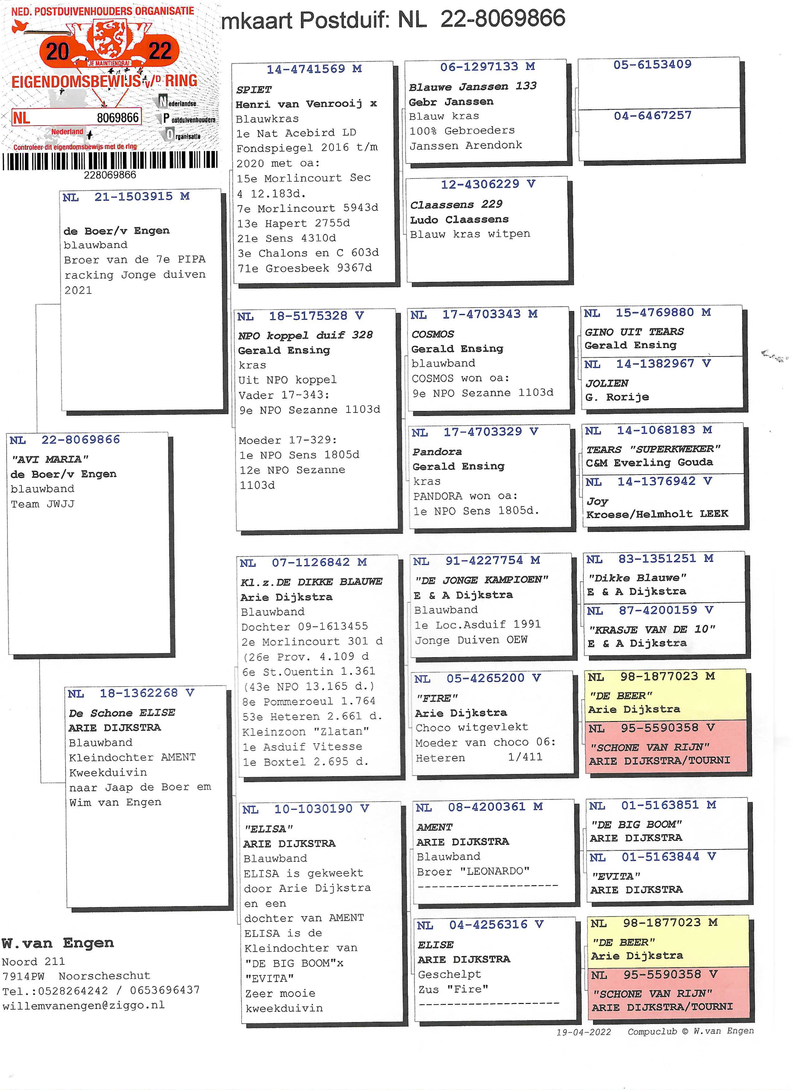 Pigeon pedigree image