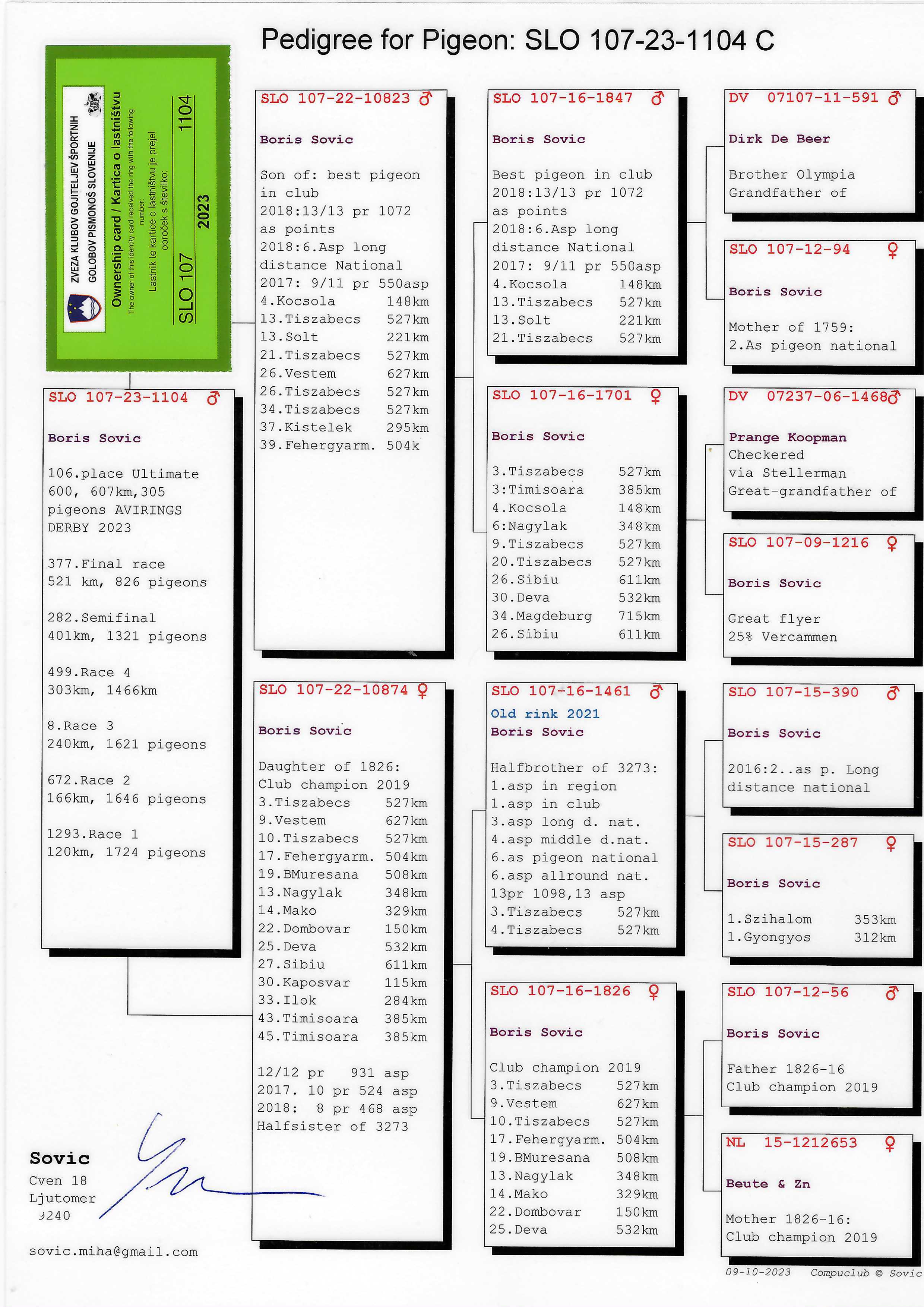 Pigeon pedigree image