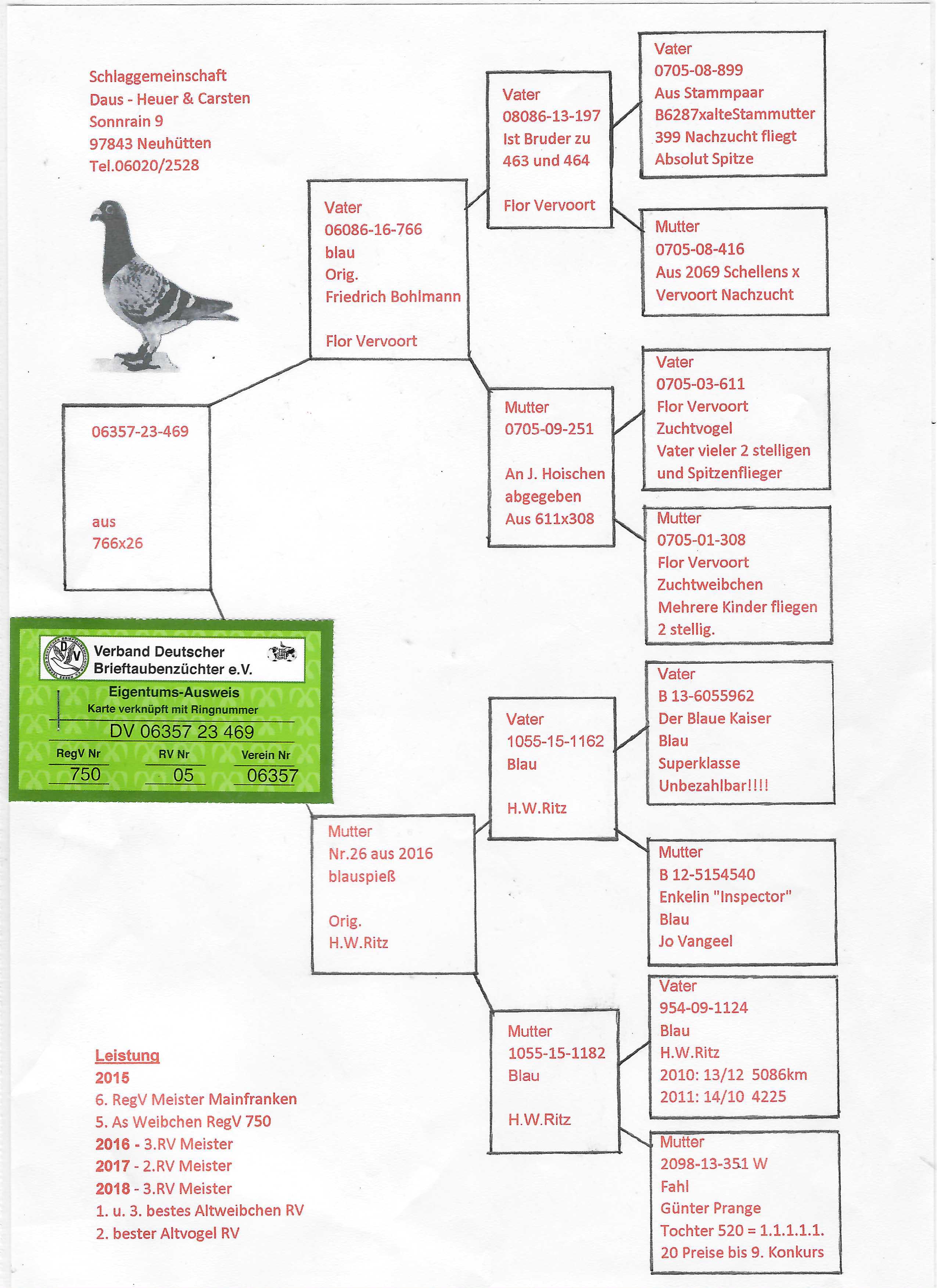 Pigeon pedigree image