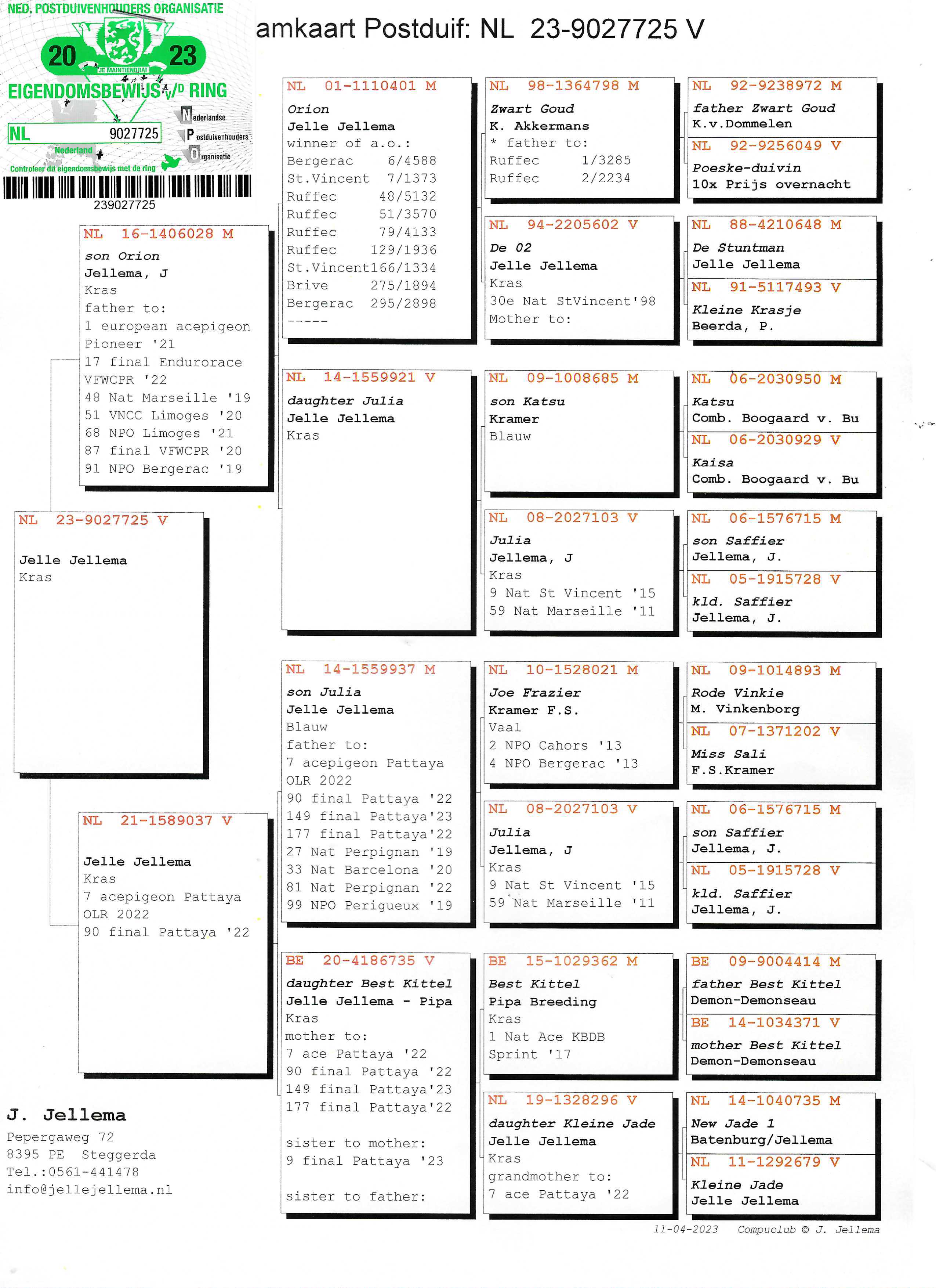 Pigeon pedigree image