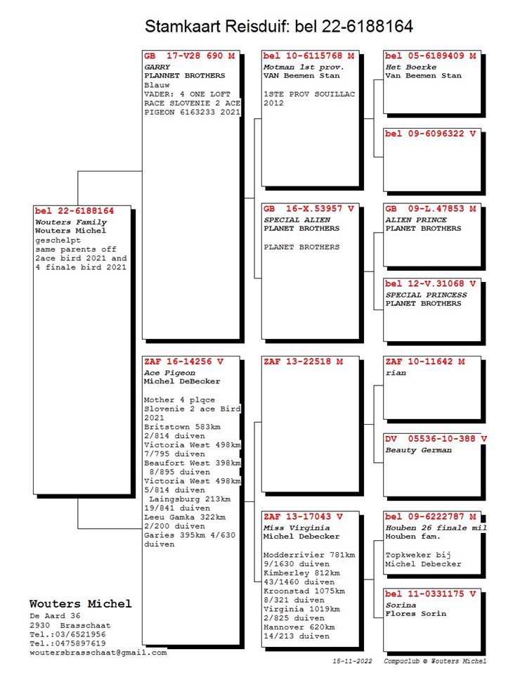 Pigeon pedigree image