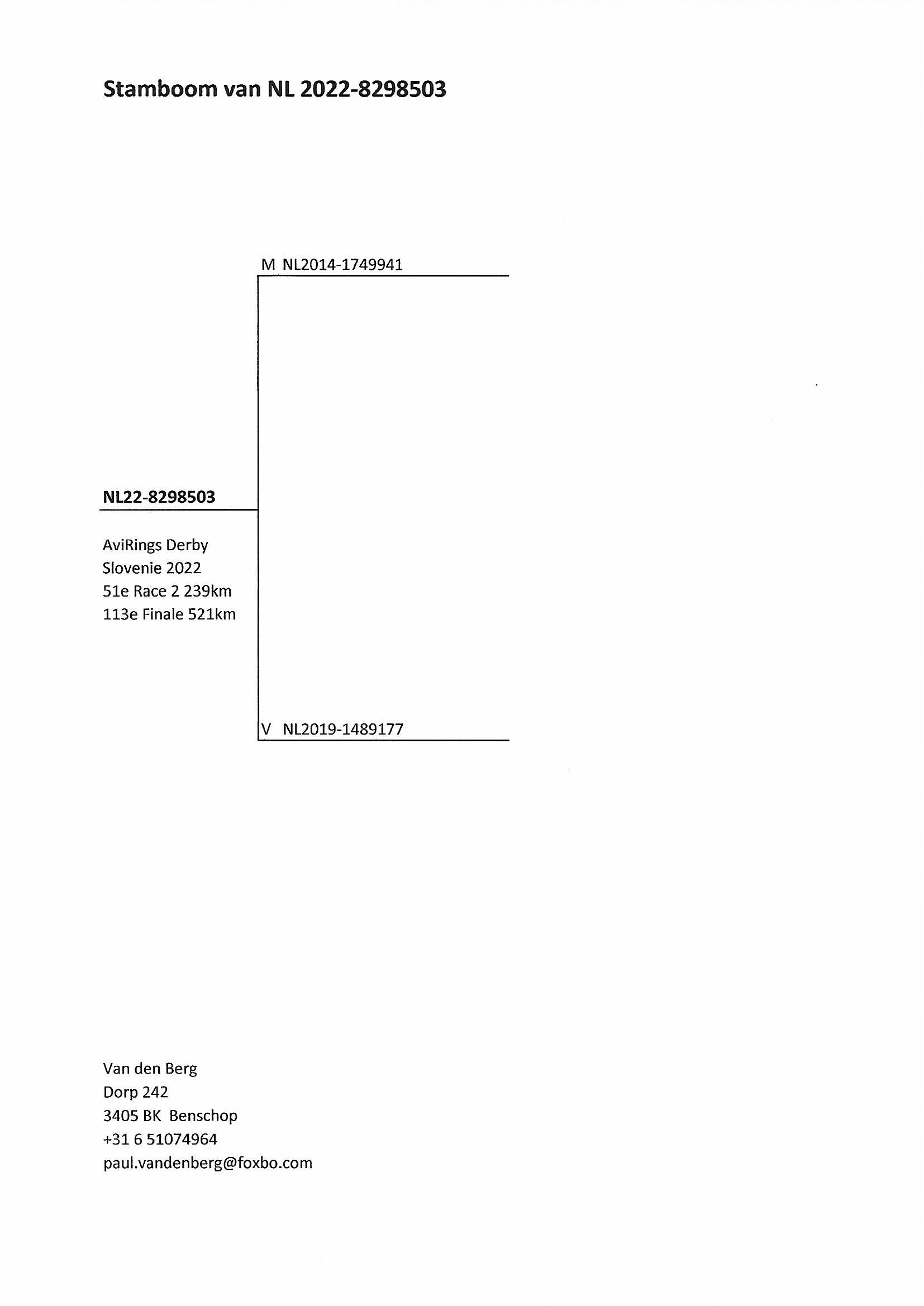 Pigeon pedigree image