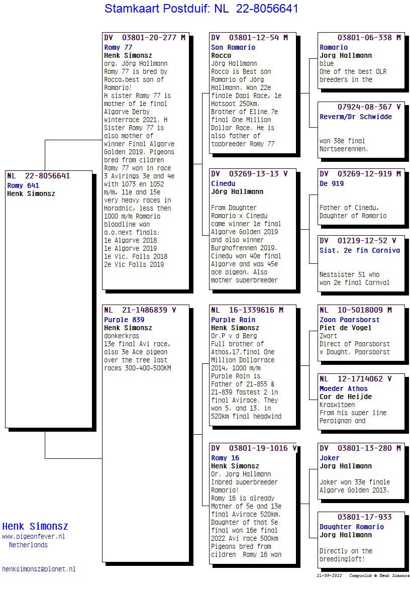 Pigeon pedigree image