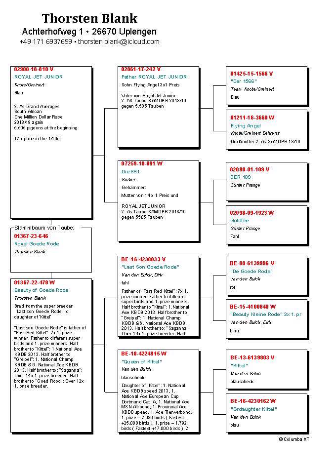 Pigeon pedigree image