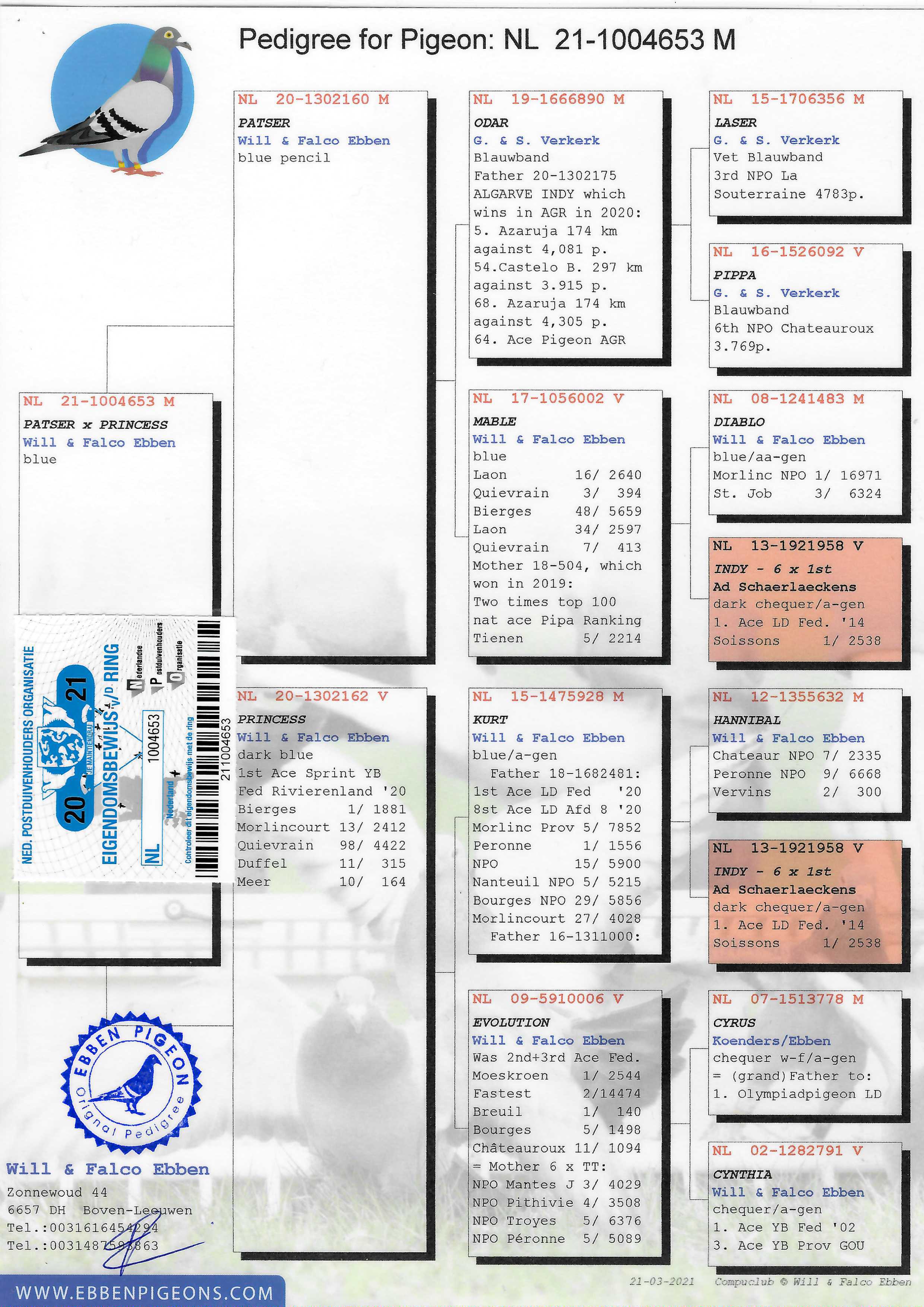 Pigeon pedigree image