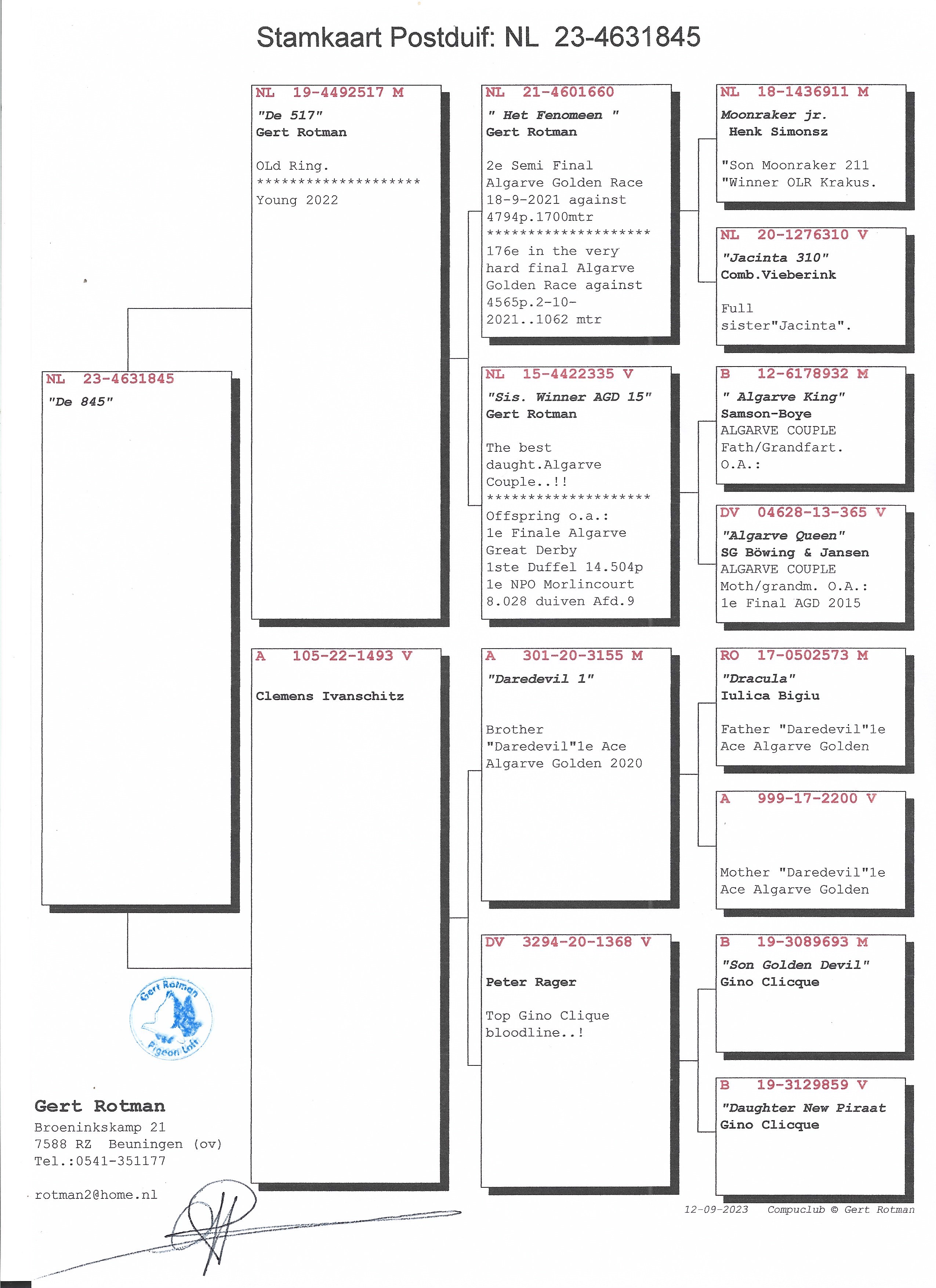 Pigeon pedigree image