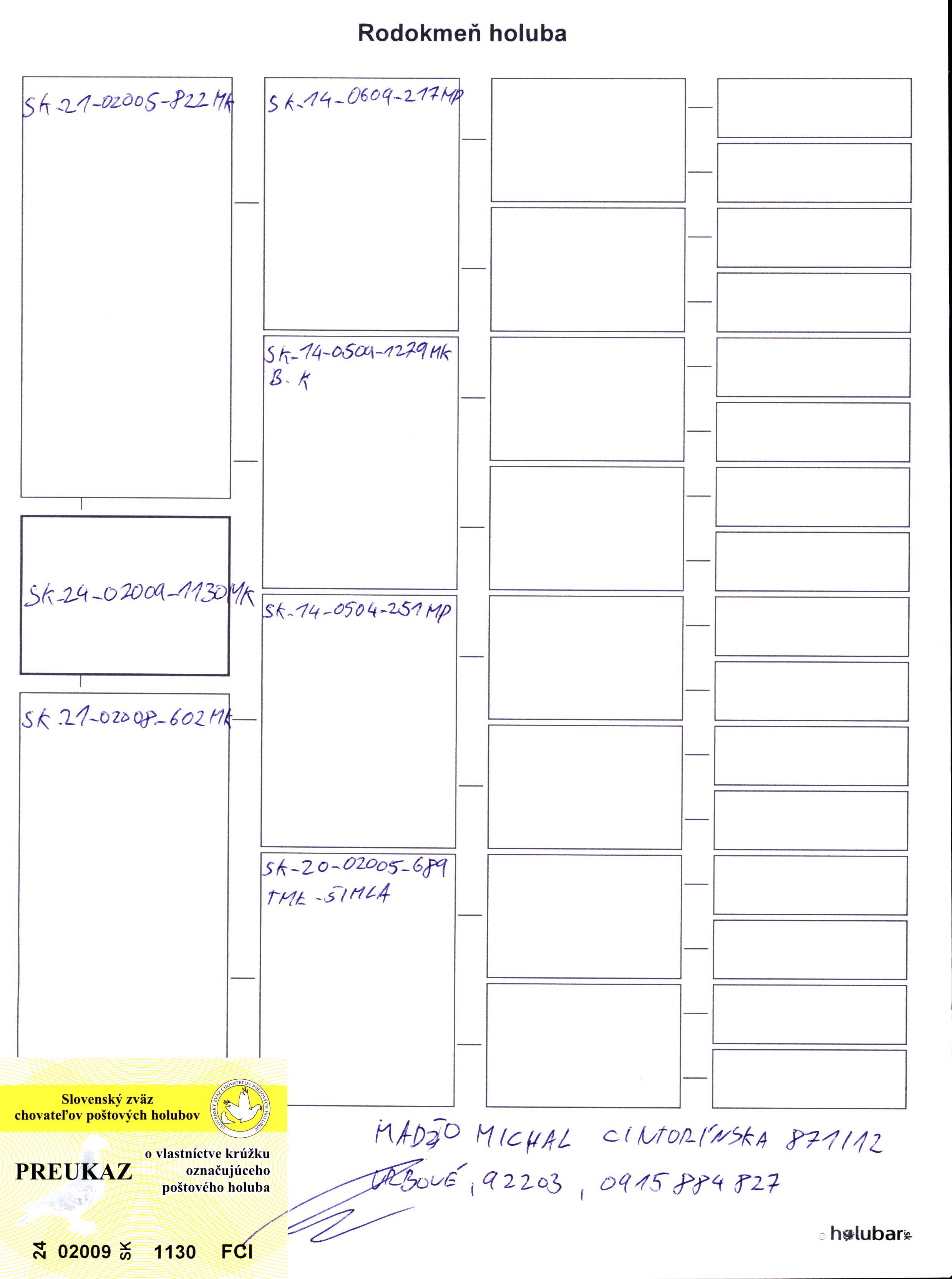 Pigeon pedigree image