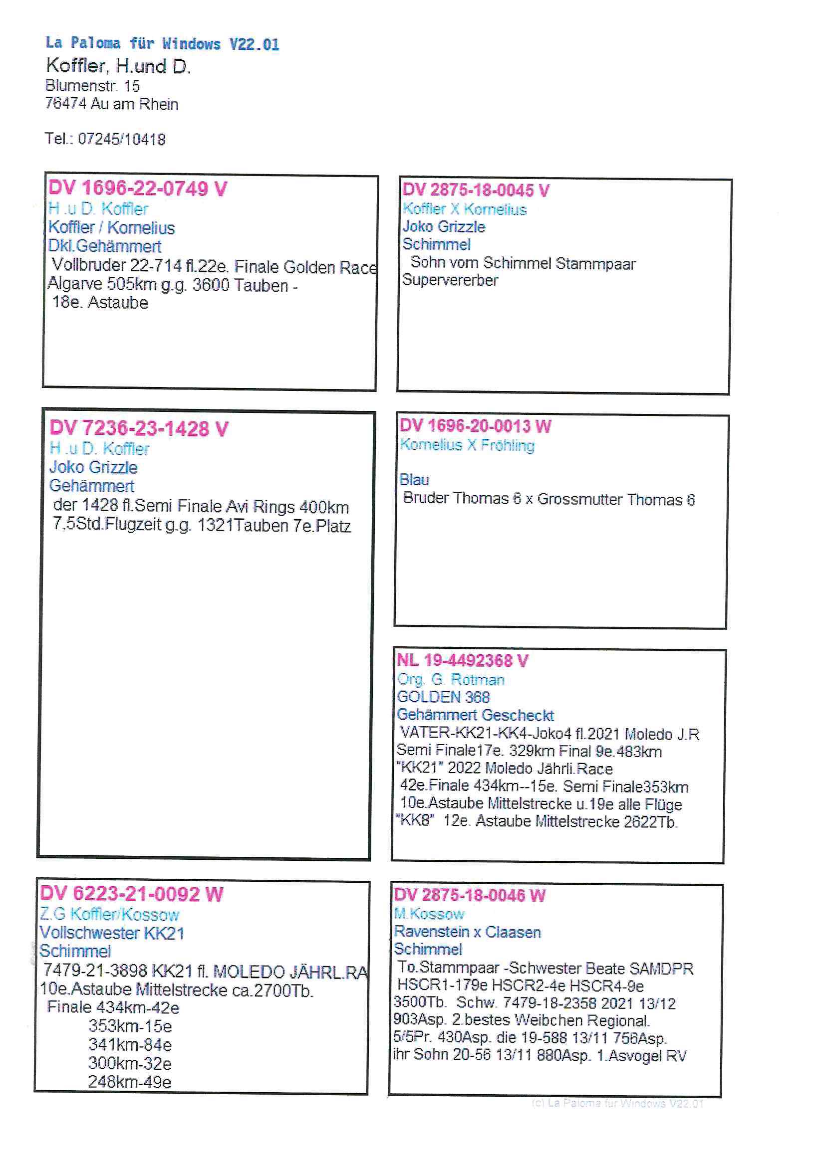 Pigeon pedigree image