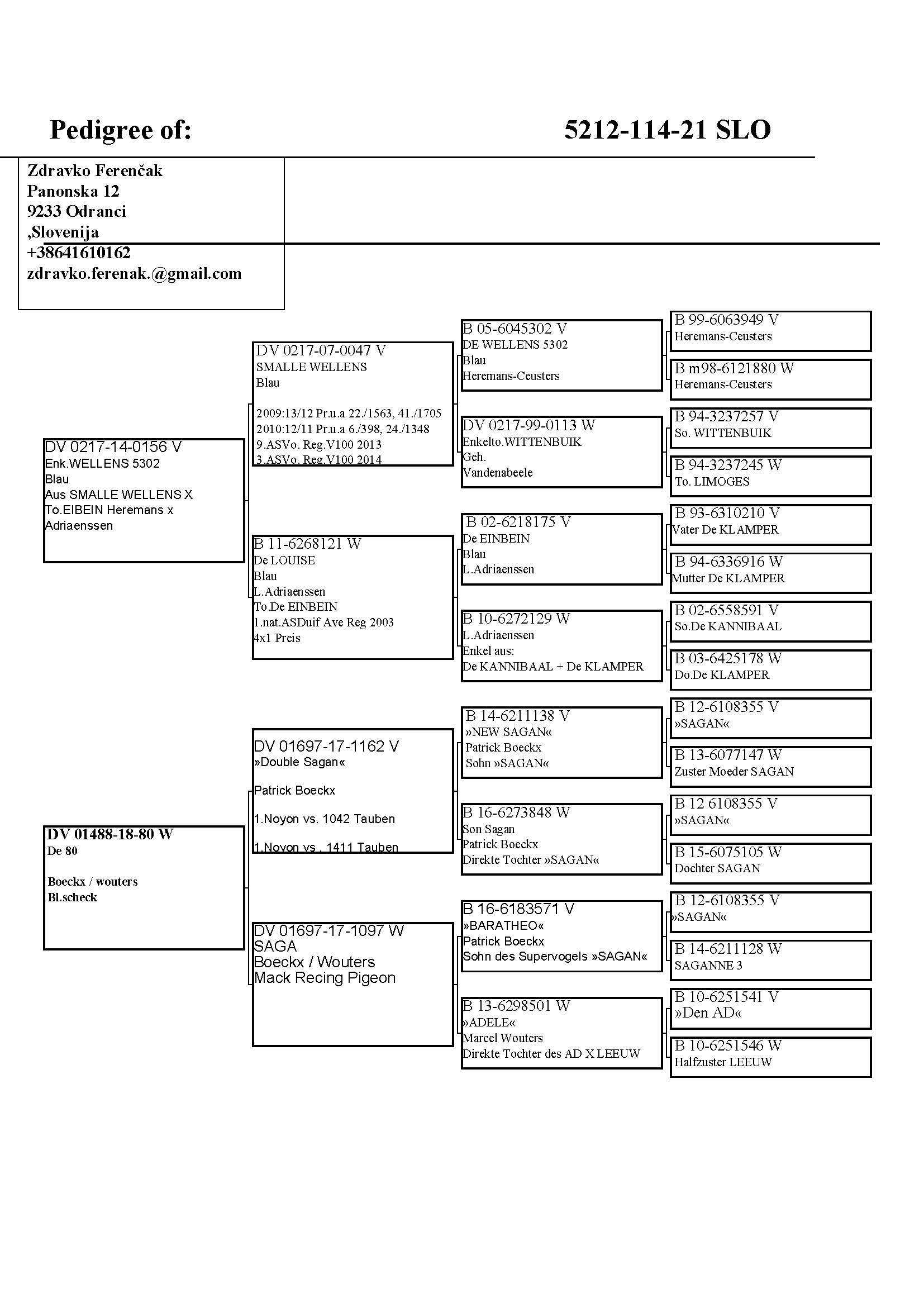 Pigeon pedigree image