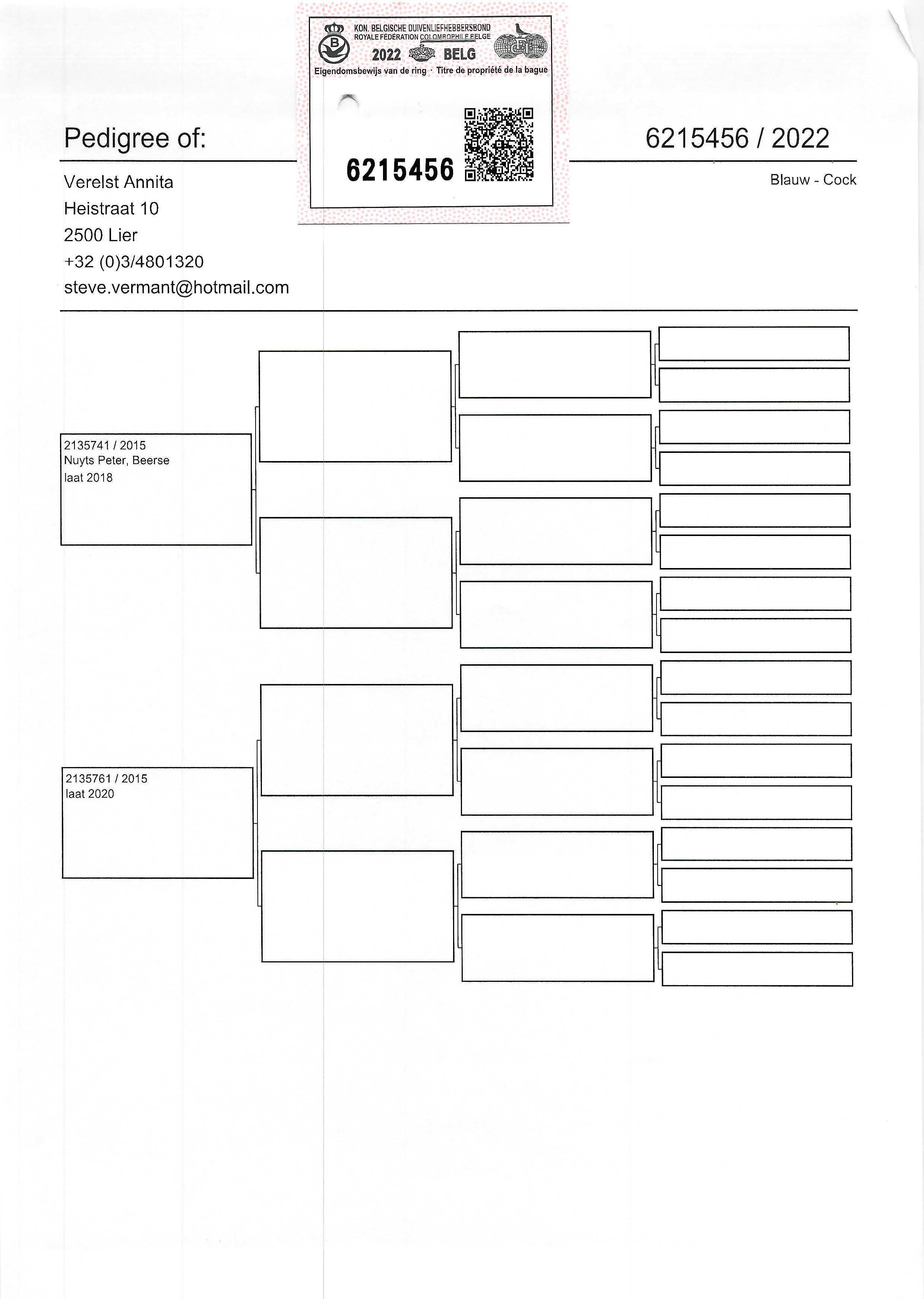 Pigeon pedigree image