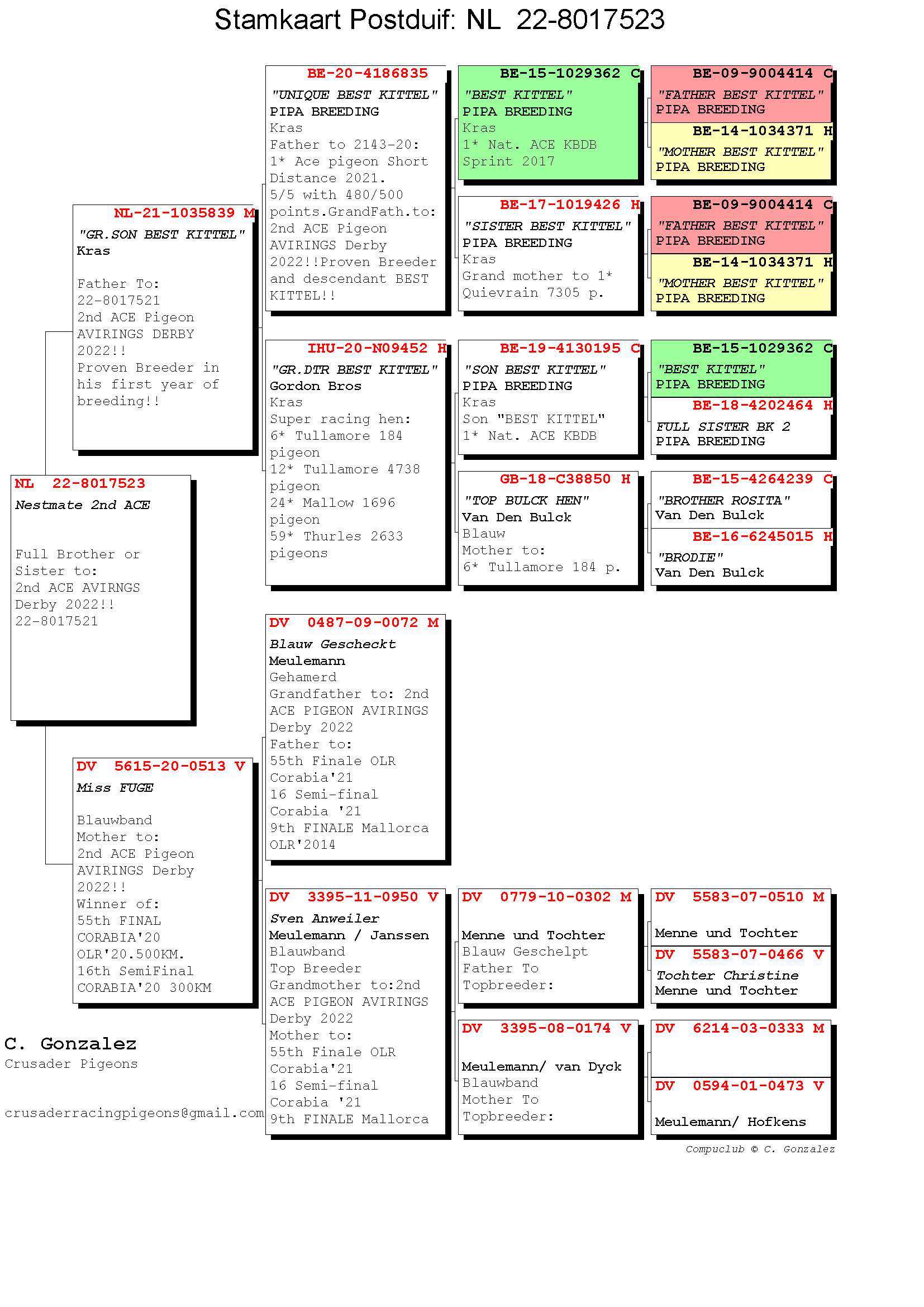 Pigeon pedigree image