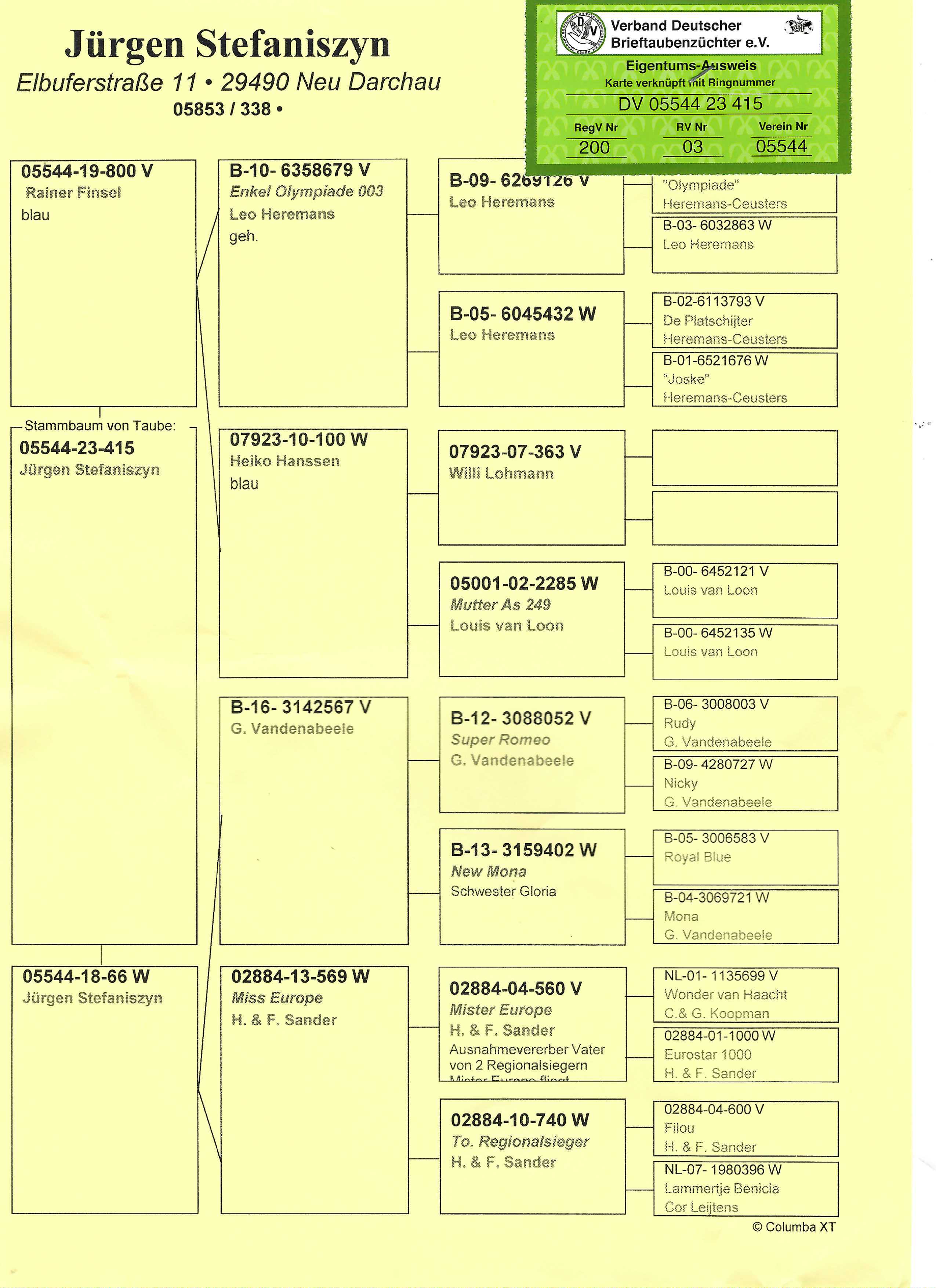 Pigeon pedigree image
