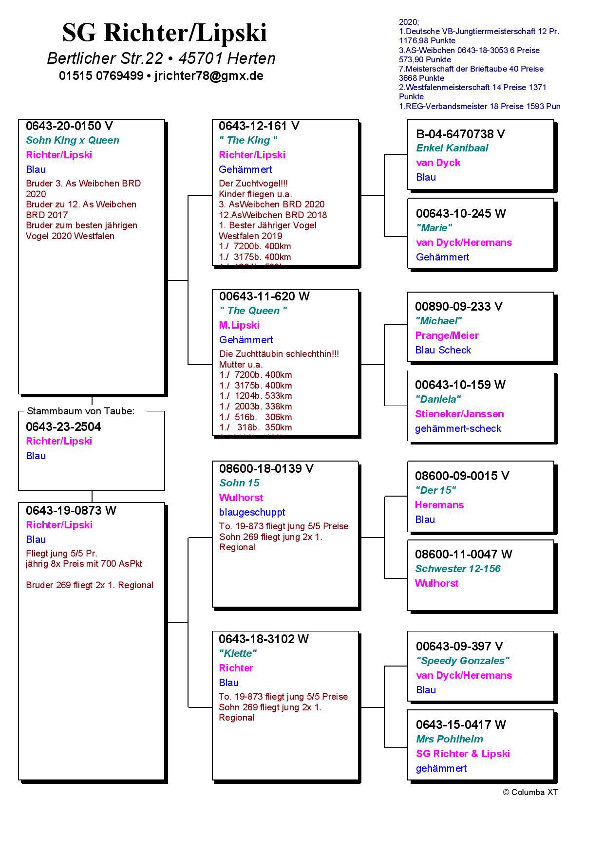 Pigeon pedigree image