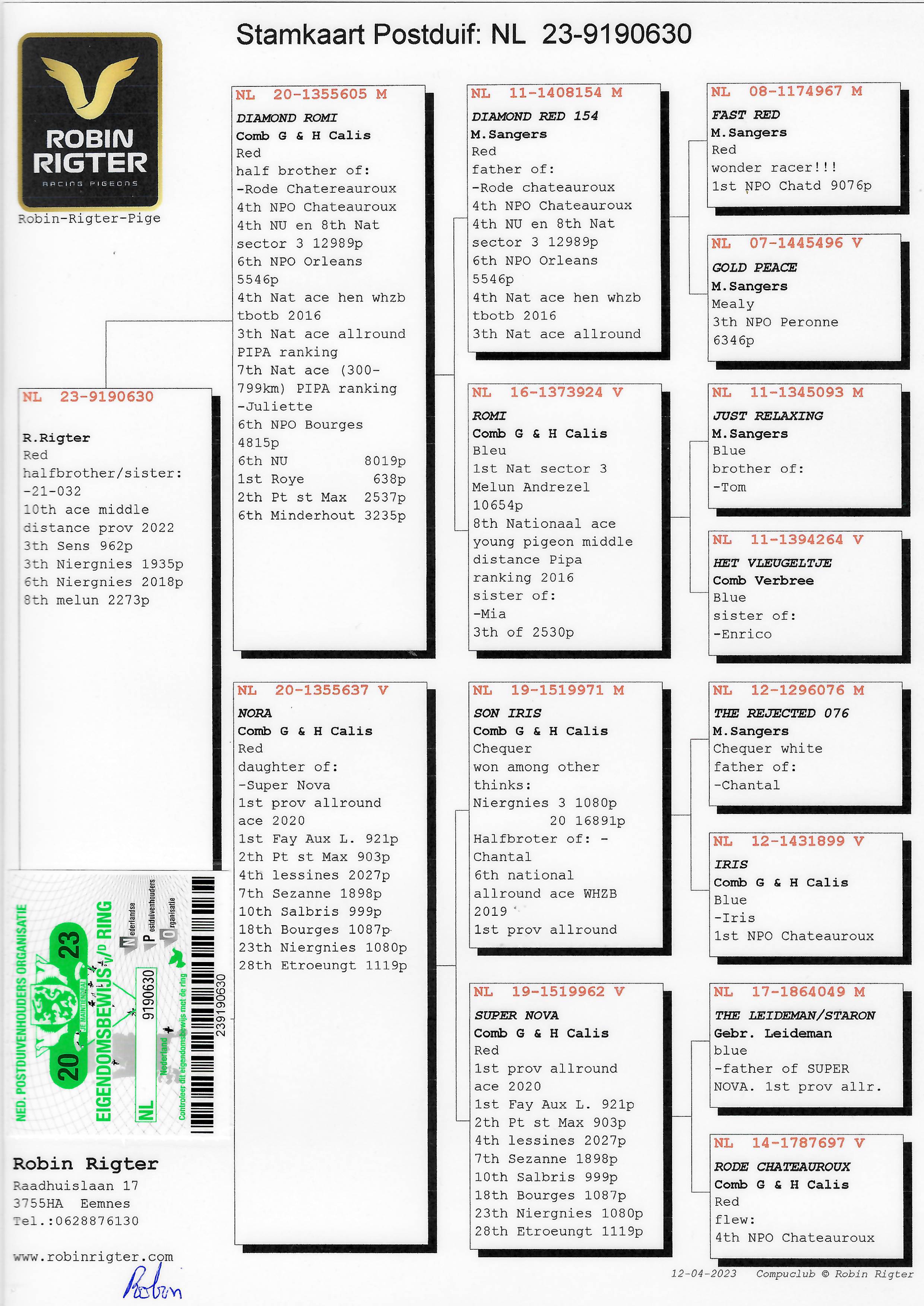 Pigeon pedigree image