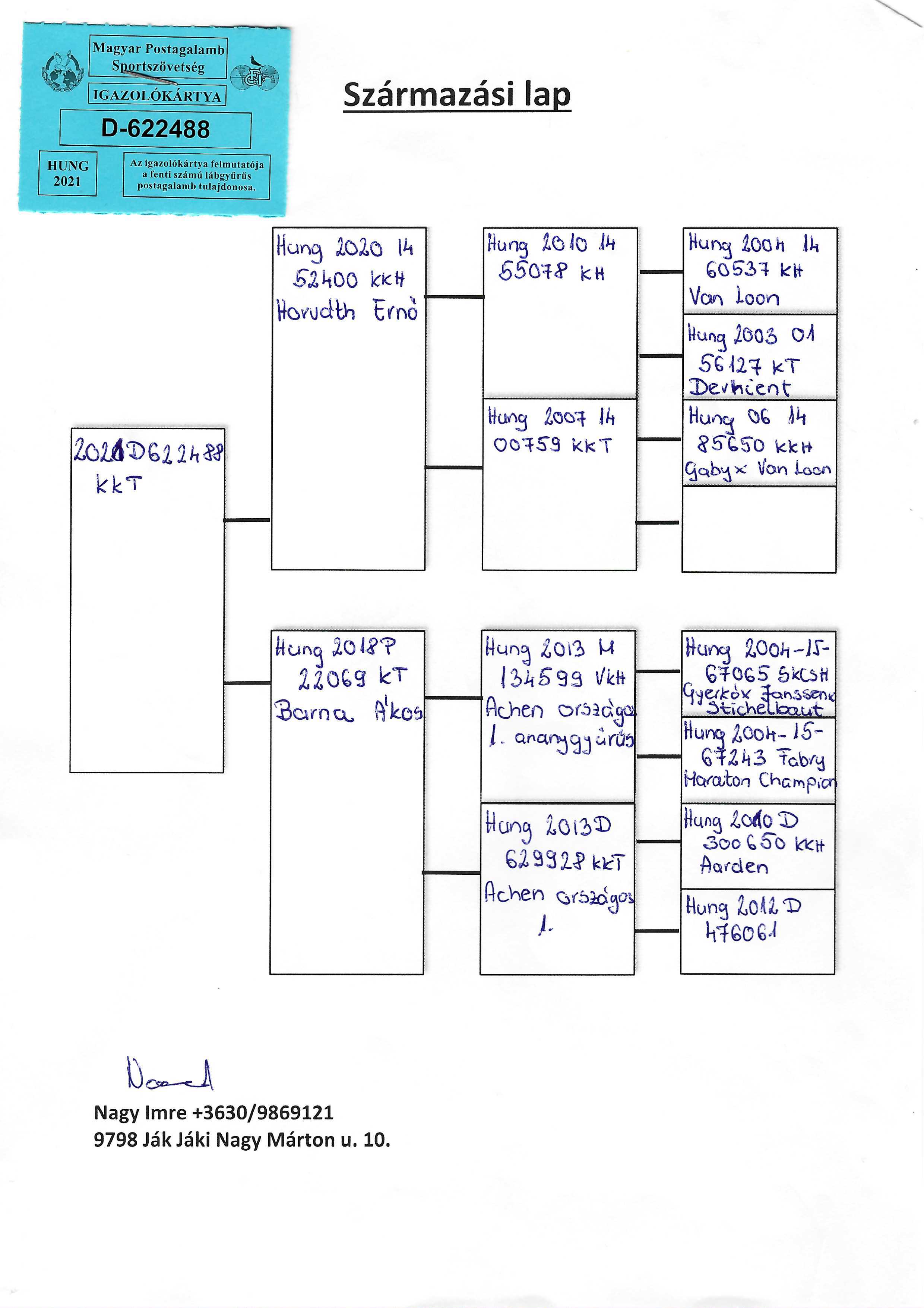 Pigeon pedigree image