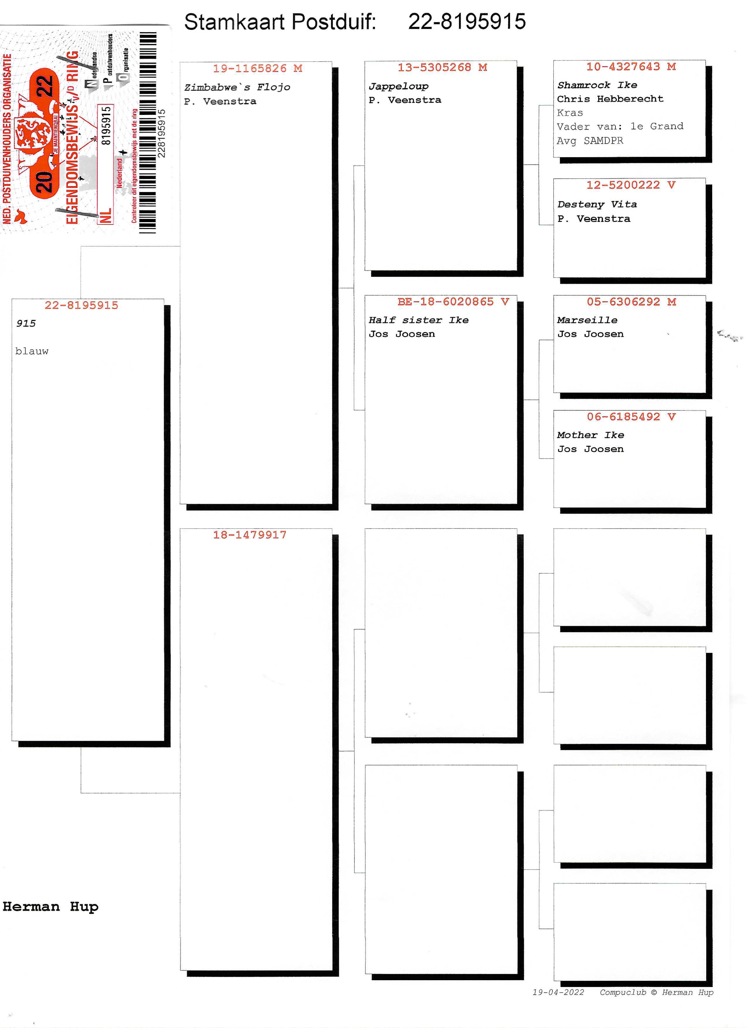 Pigeon pedigree image