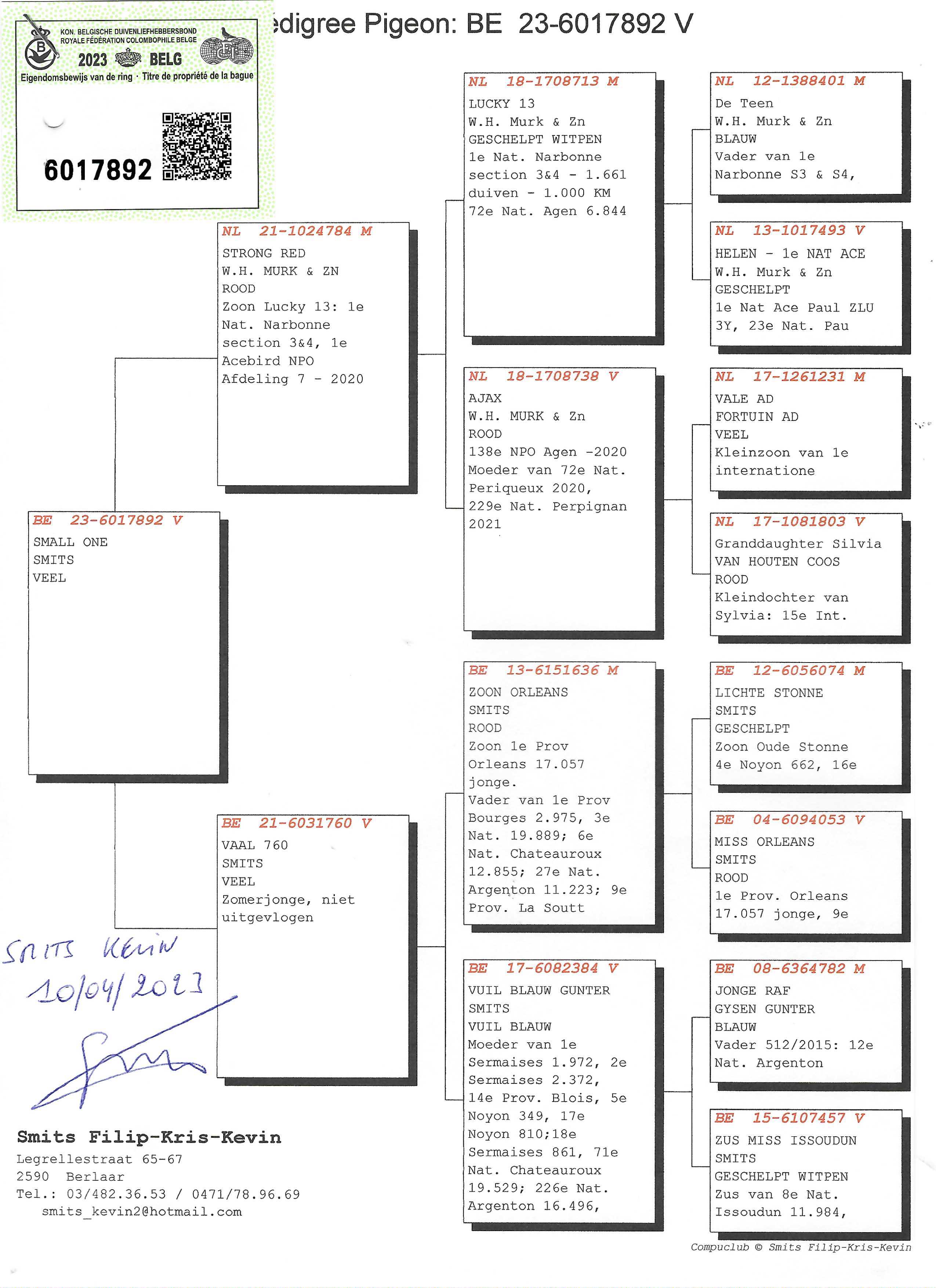 Pigeon pedigree image