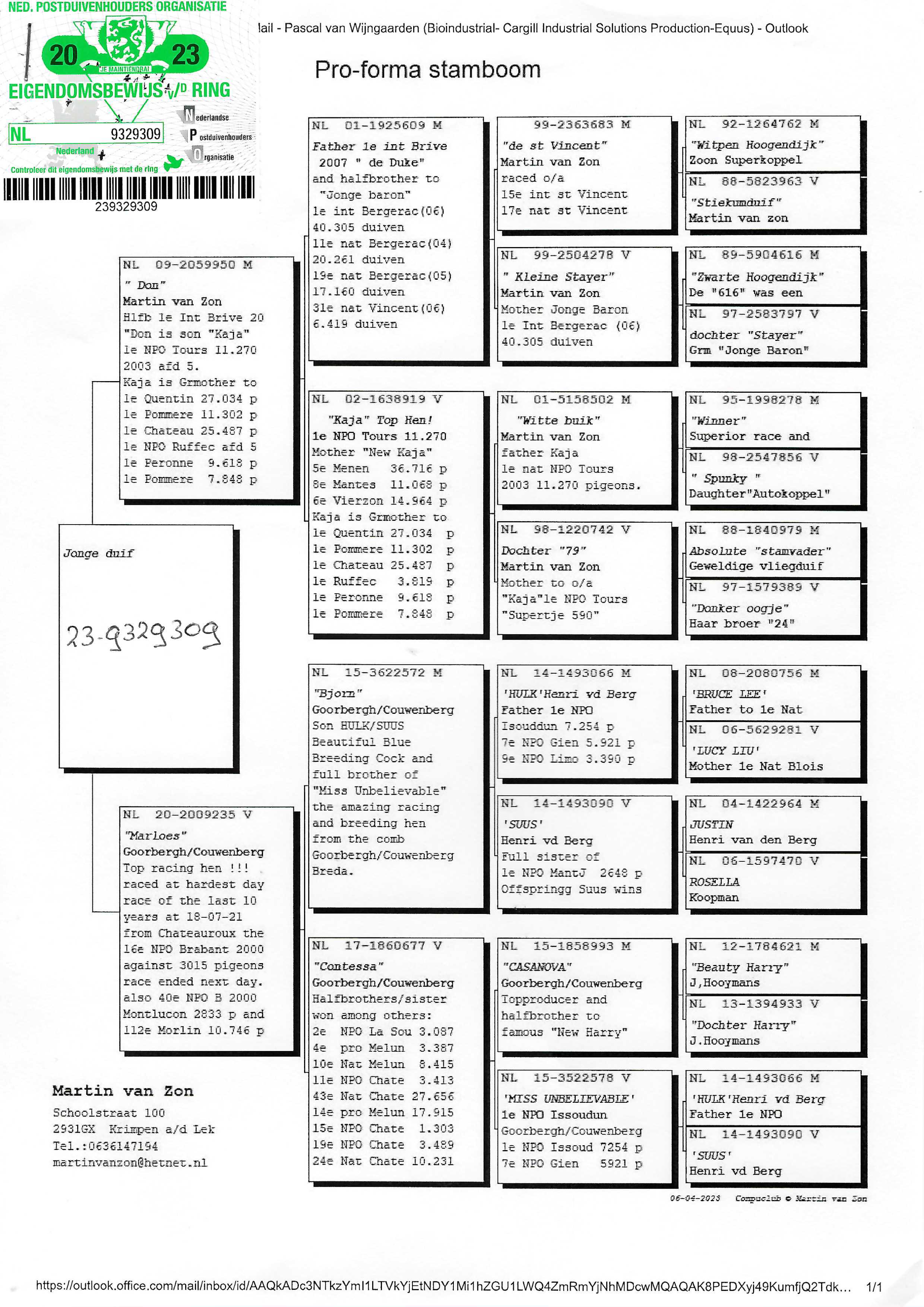 Pigeon pedigree image