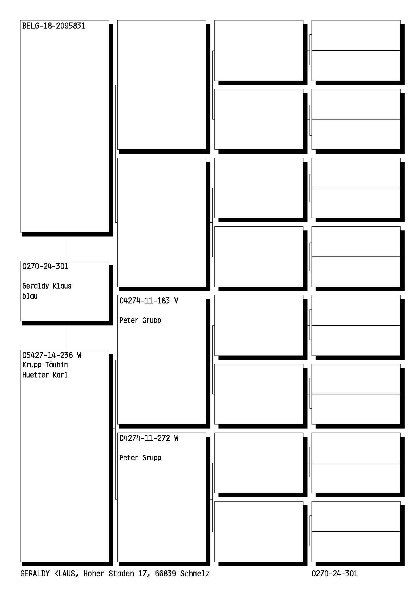 Pigeon pedigree image