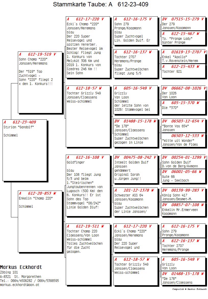 Pigeon pedigree image