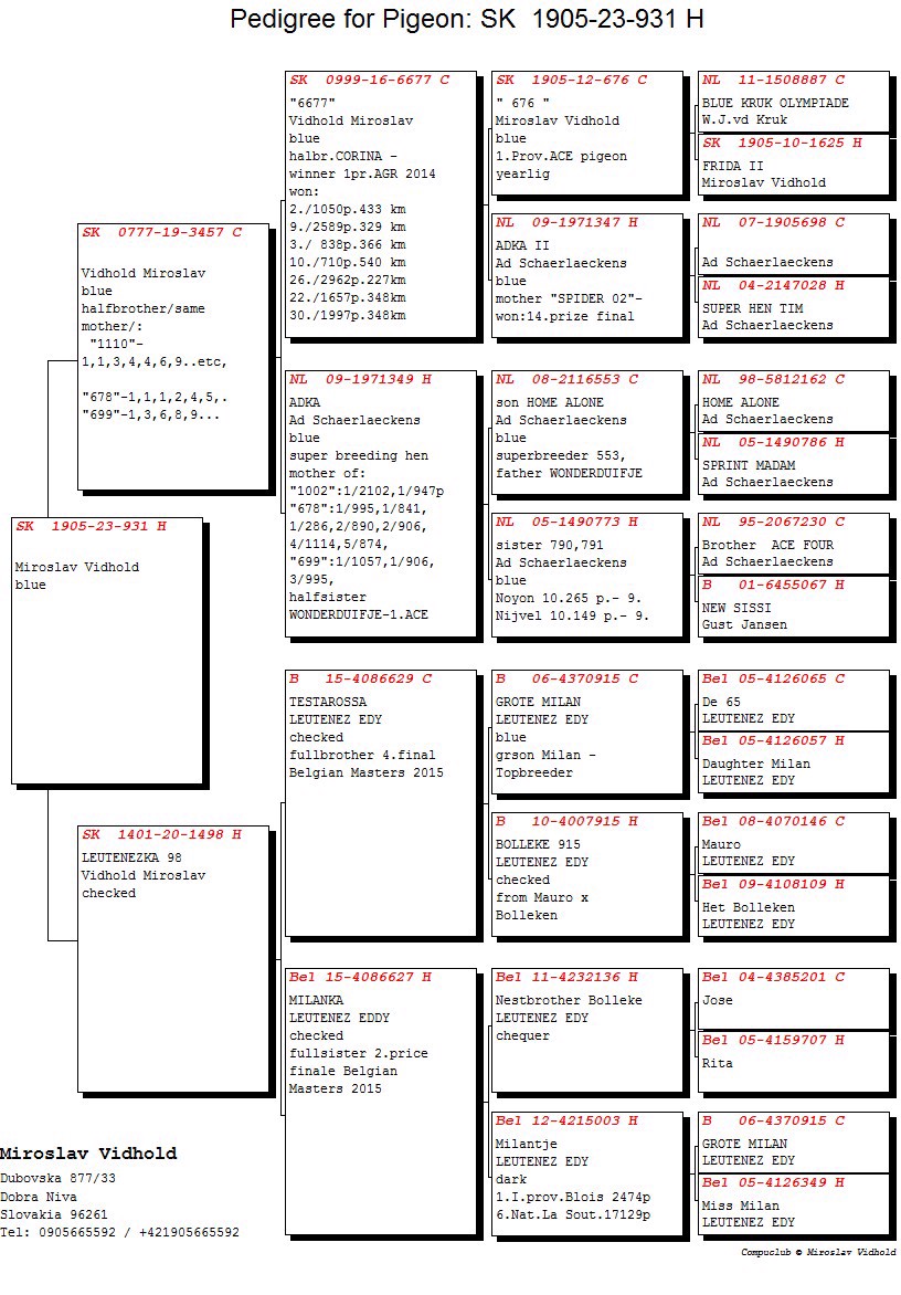 Pigeon pedigree image