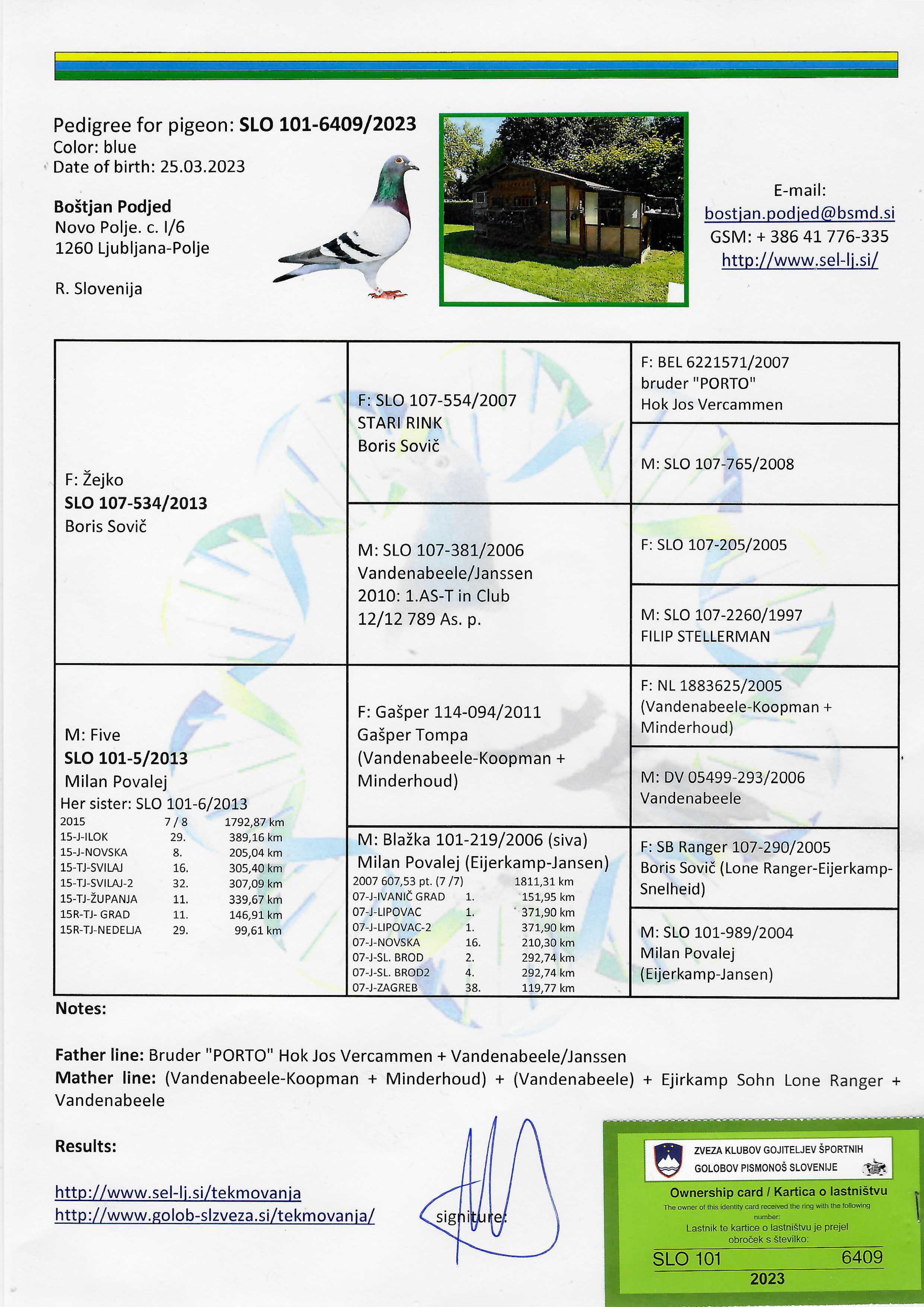 Pigeon pedigree image