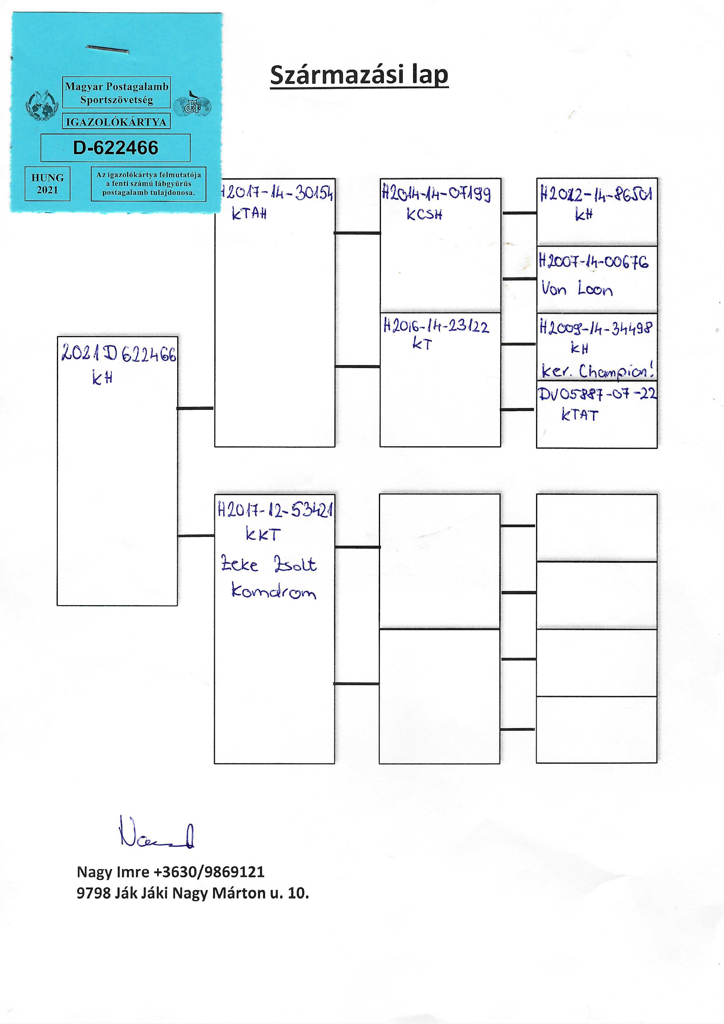 Pigeon pedigree image