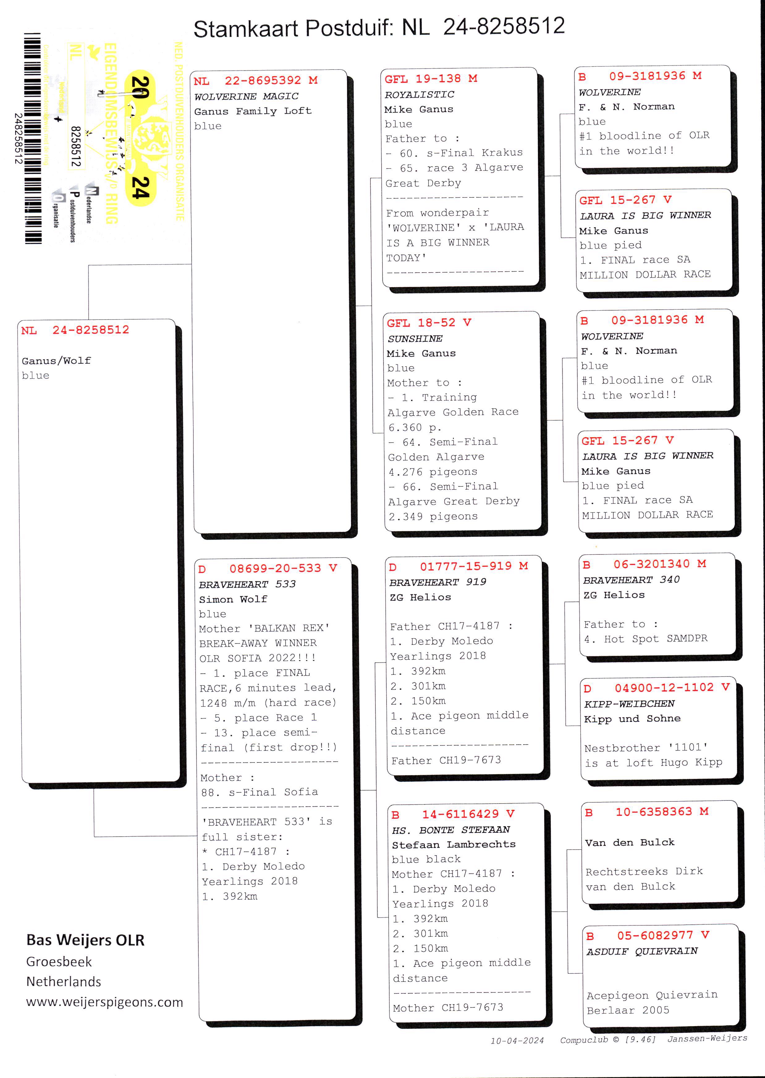 Pigeon pedigree image