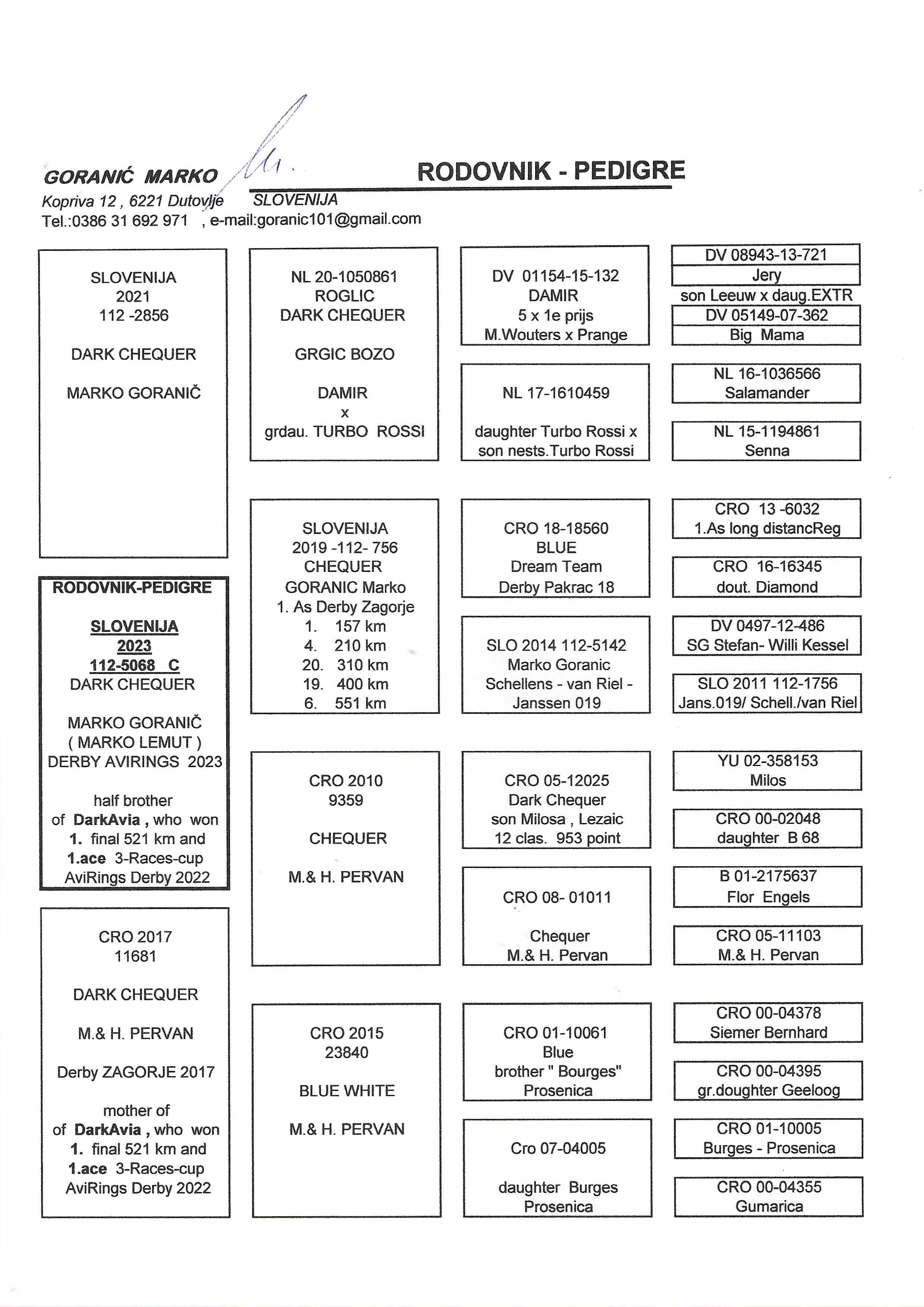 Pigeon pedigree image