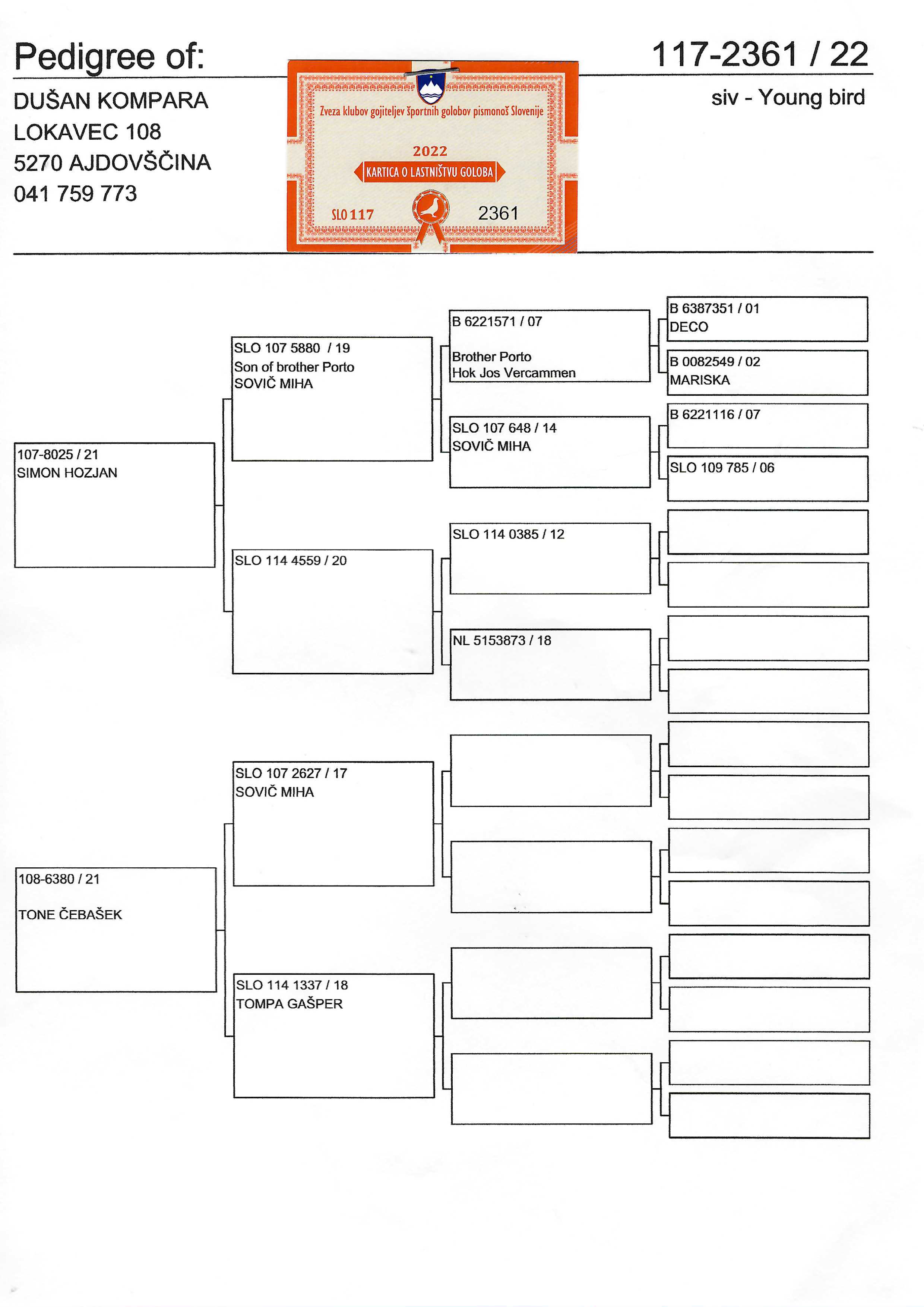 Pigeon pedigree image