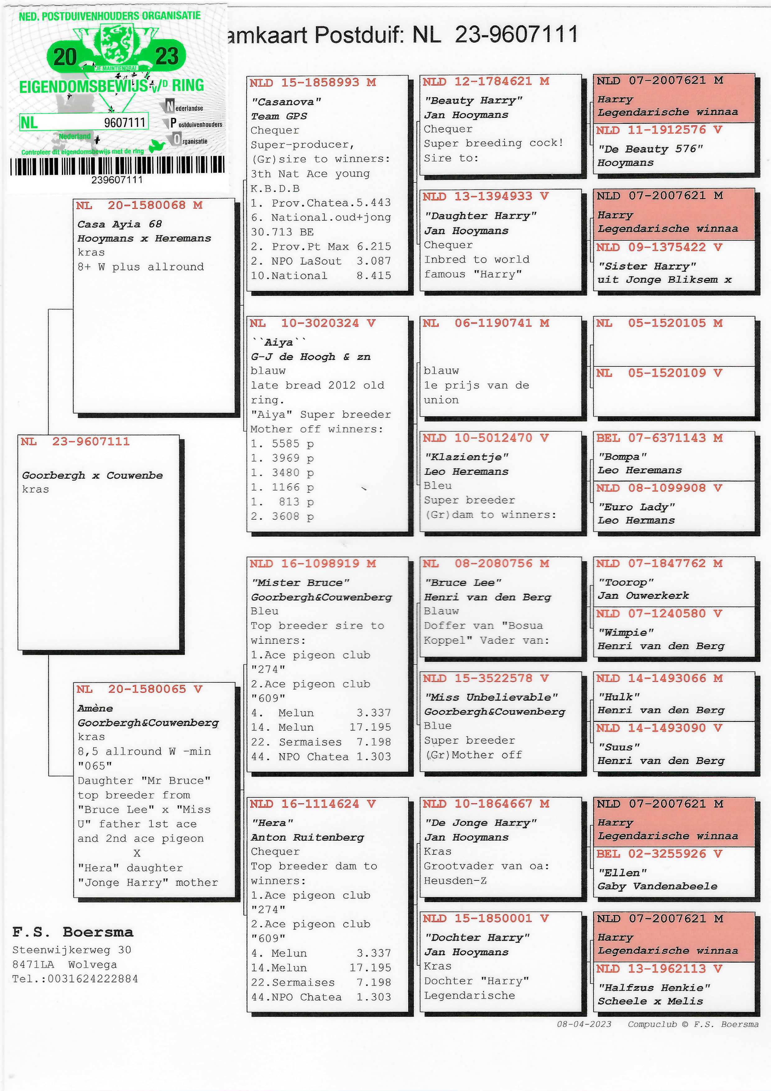 Pigeon pedigree image