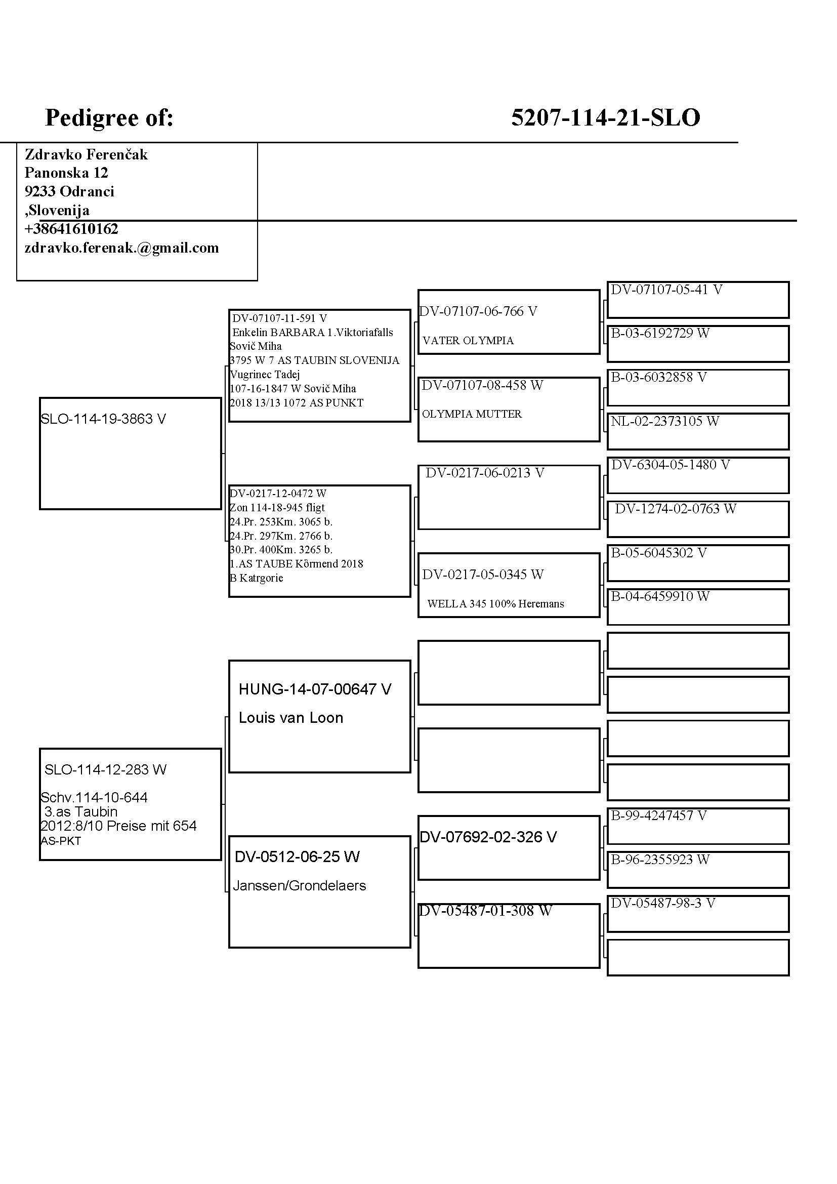 Pigeon pedigree image