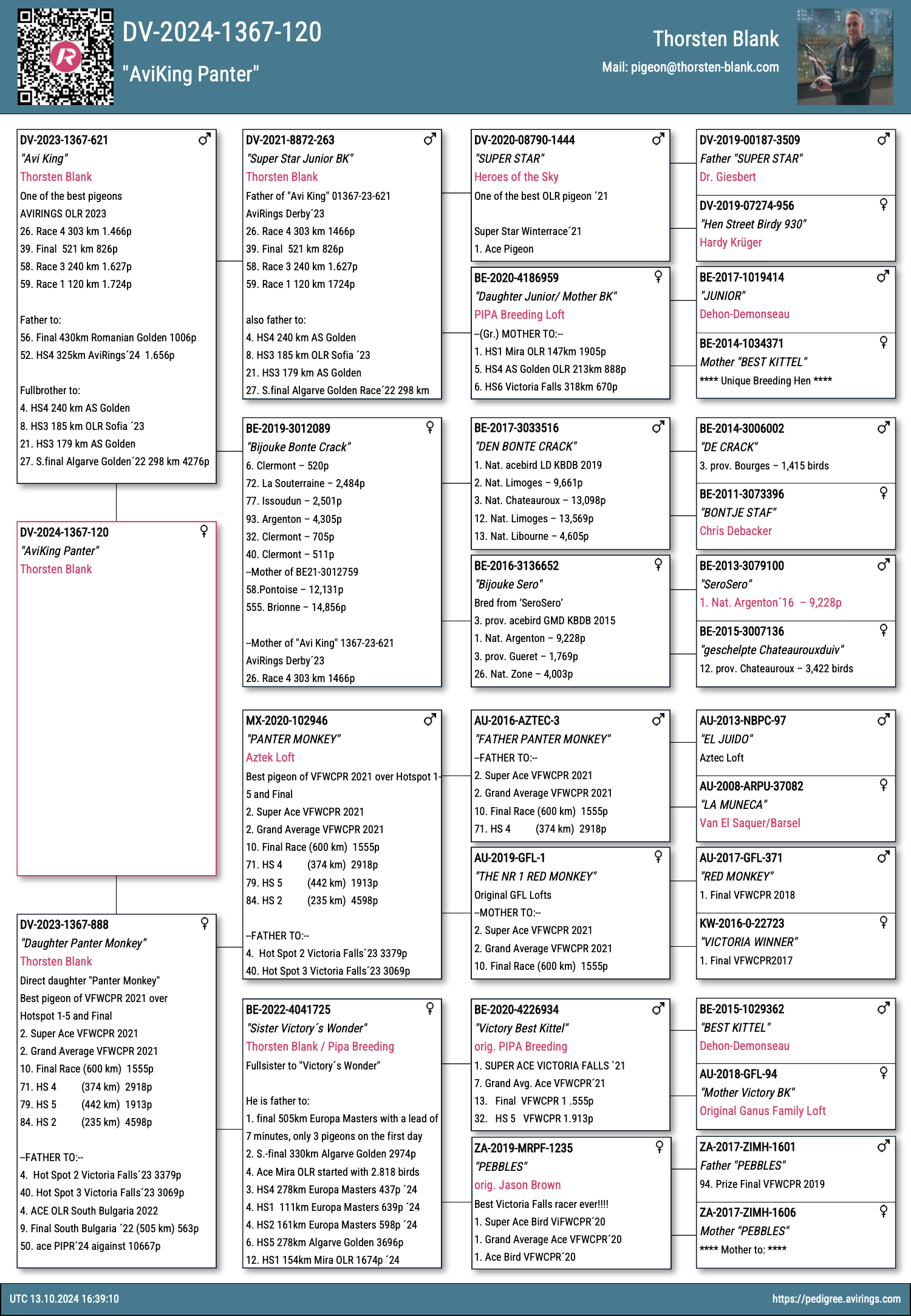 Pigeon pedigree image
