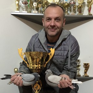 Pigeon image