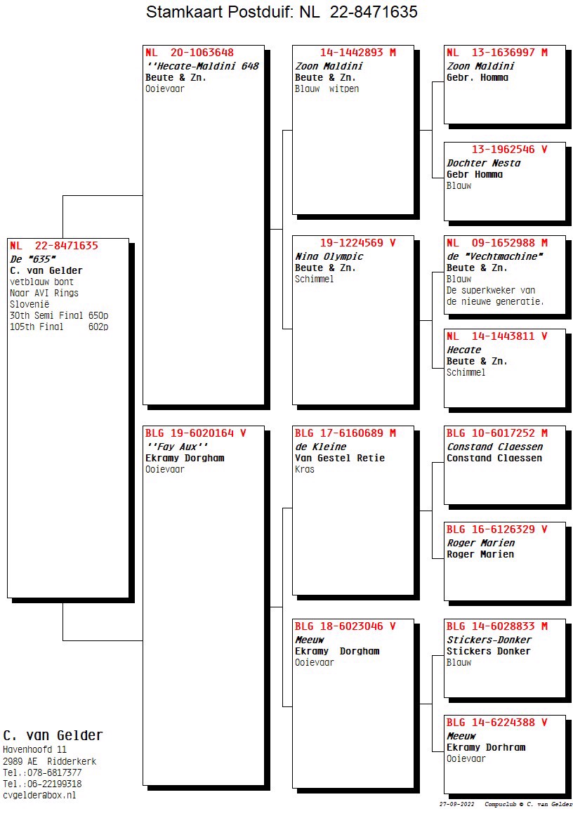 Pigeon pedigree image