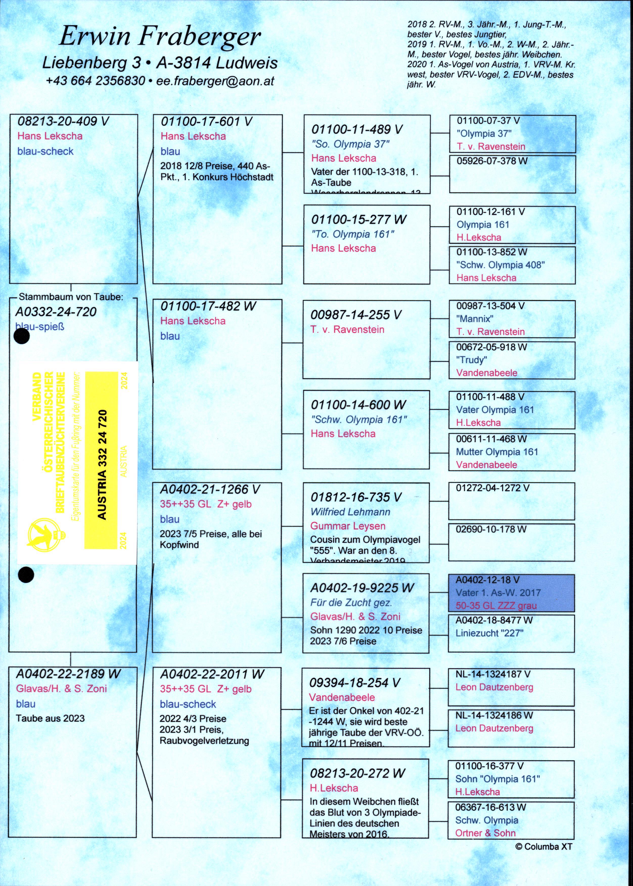 Pigeon pedigree image