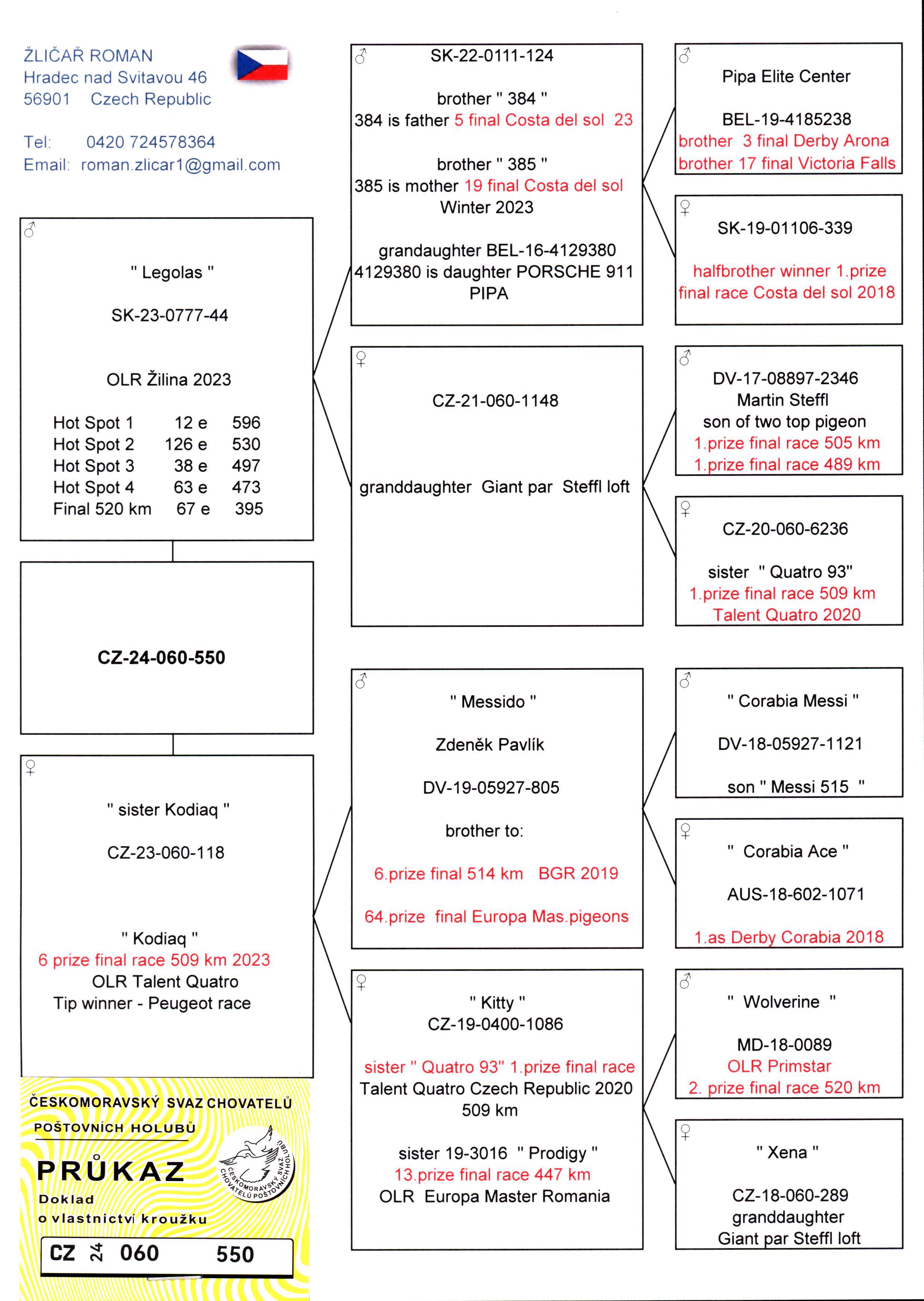 Pigeon pedigree image