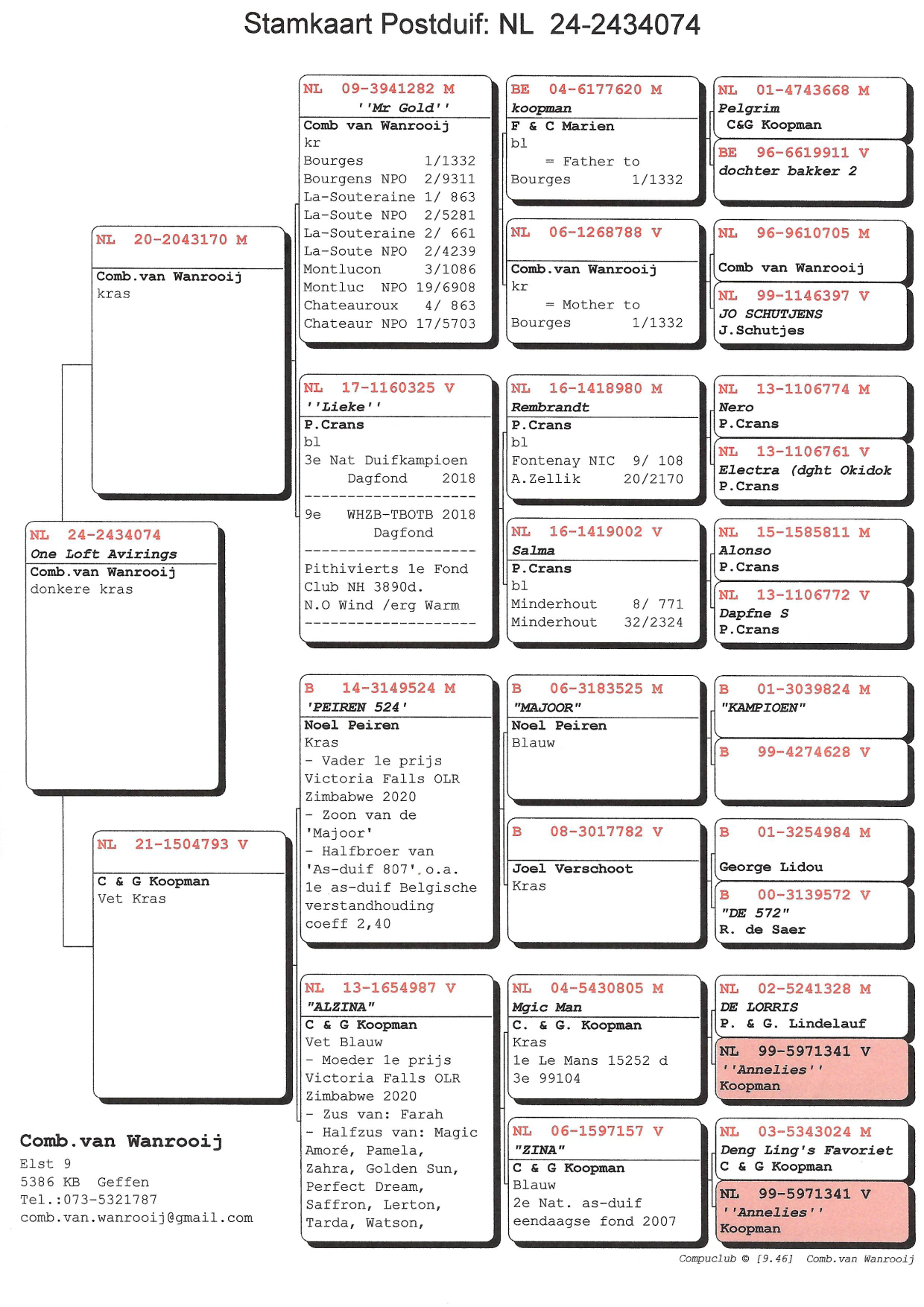 Pigeon pedigree image