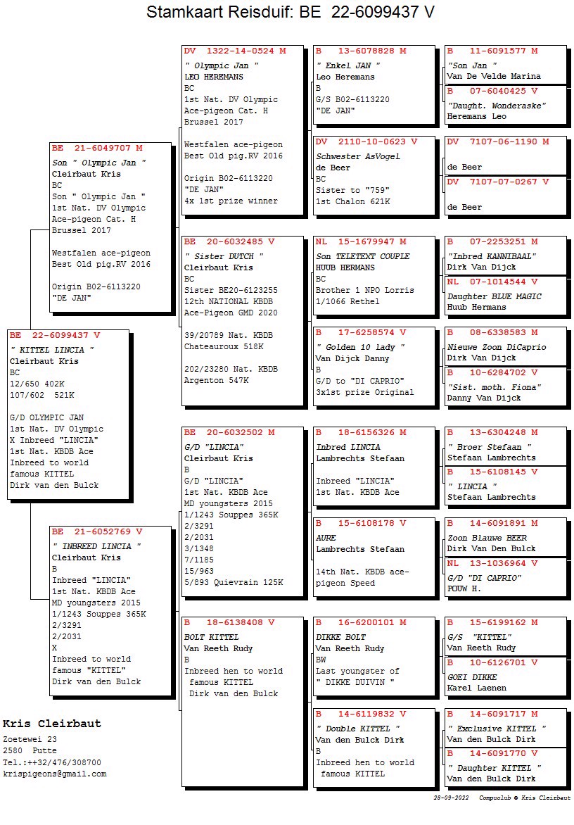 Pigeon pedigree image