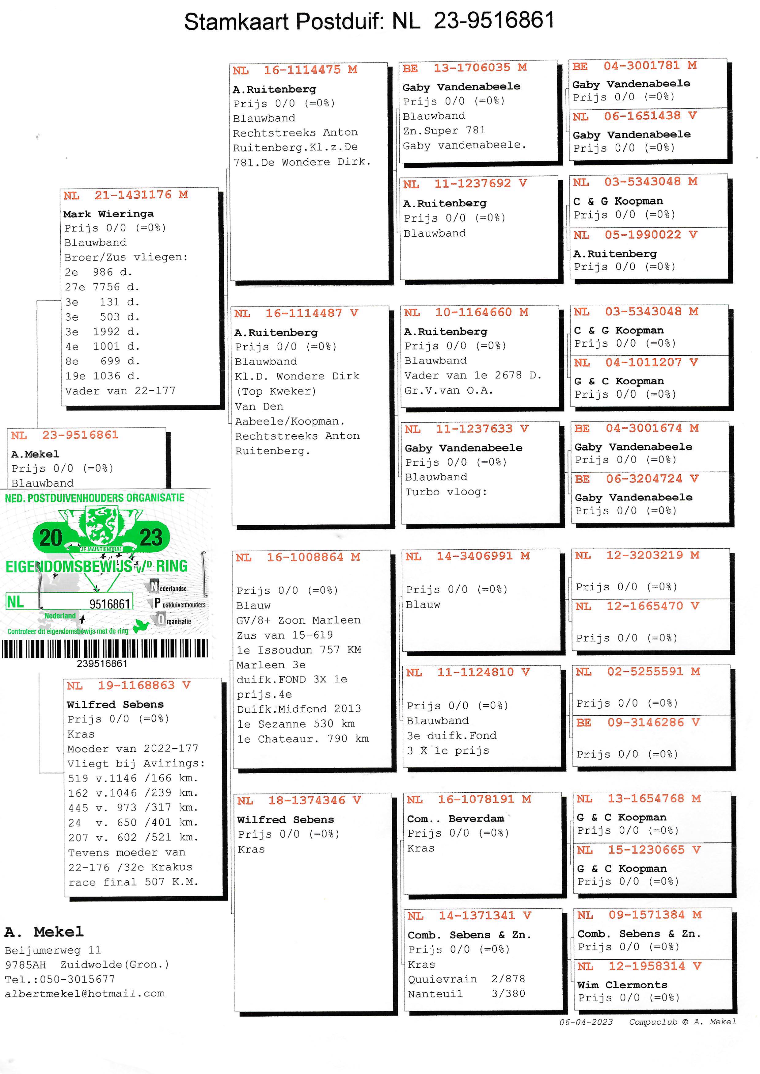 Pigeon pedigree image