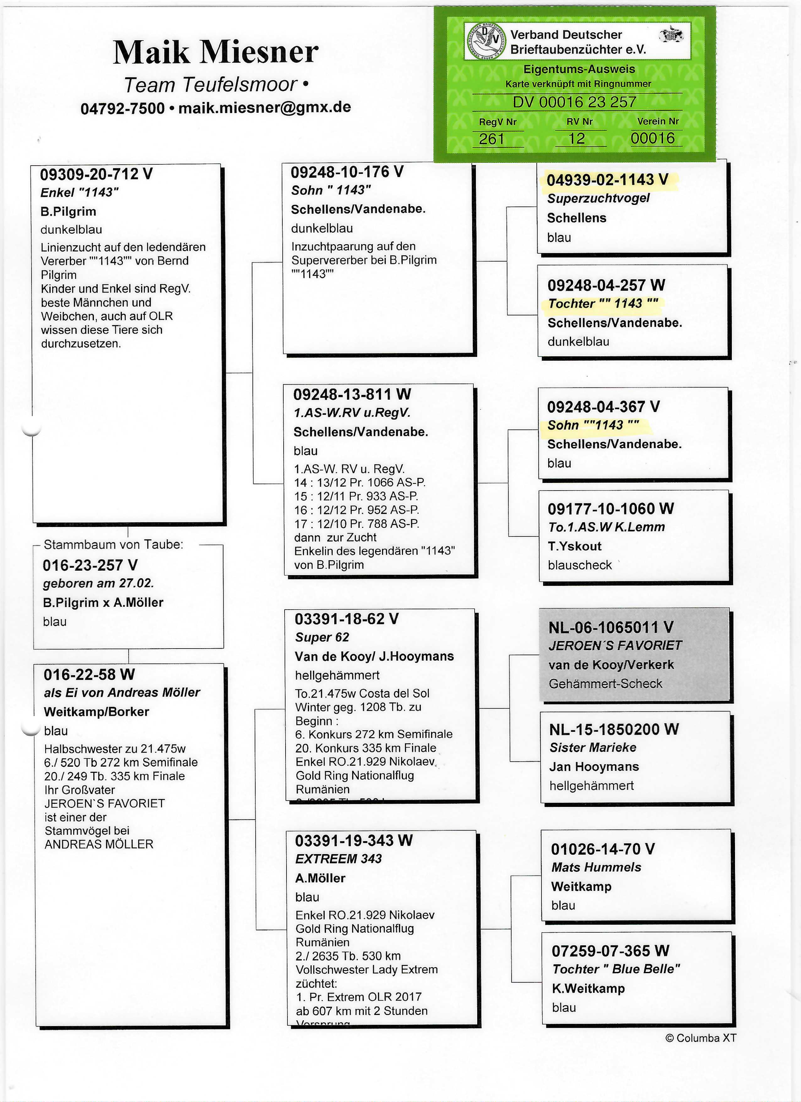Pigeon pedigree image