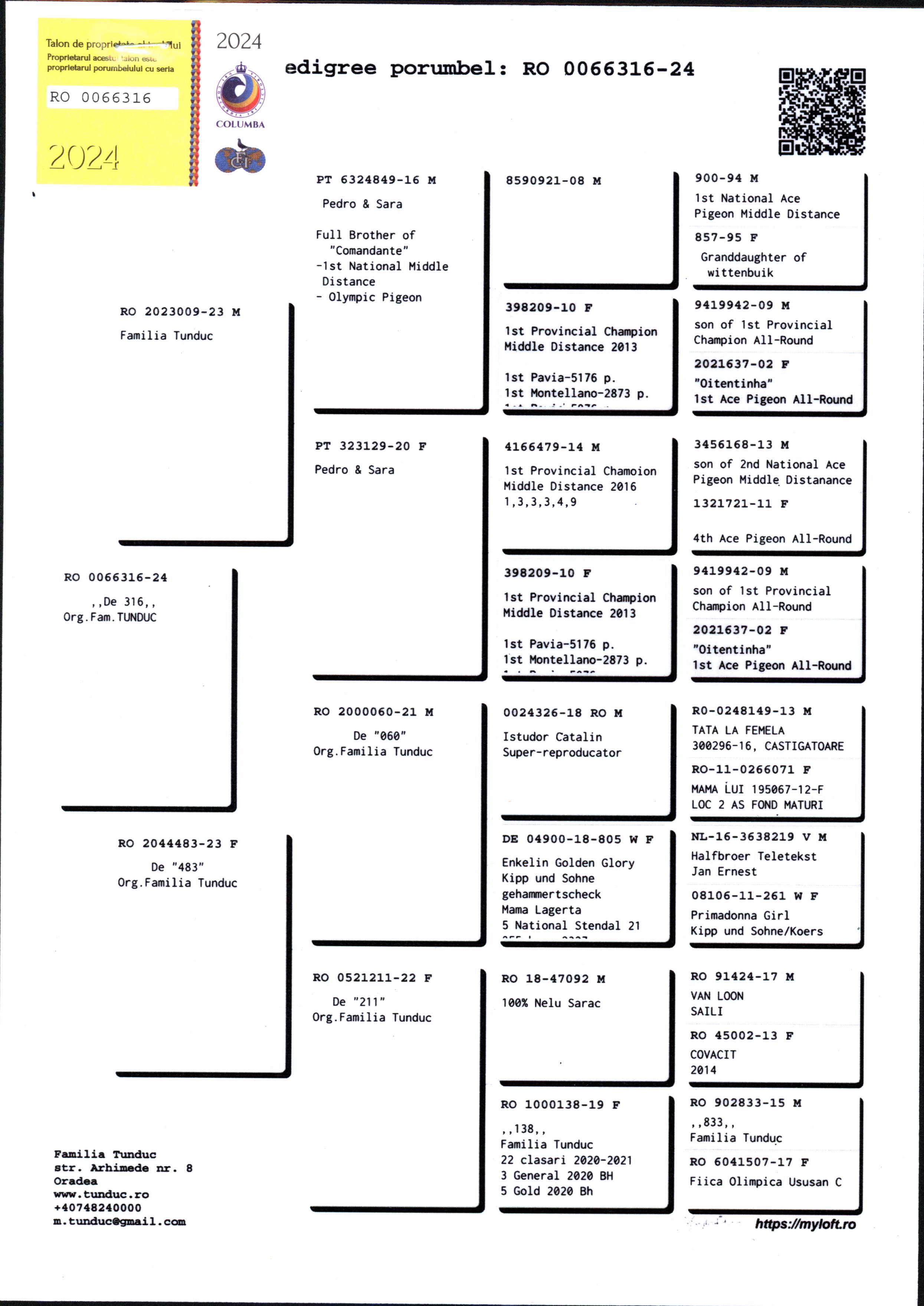 Pigeon pedigree image