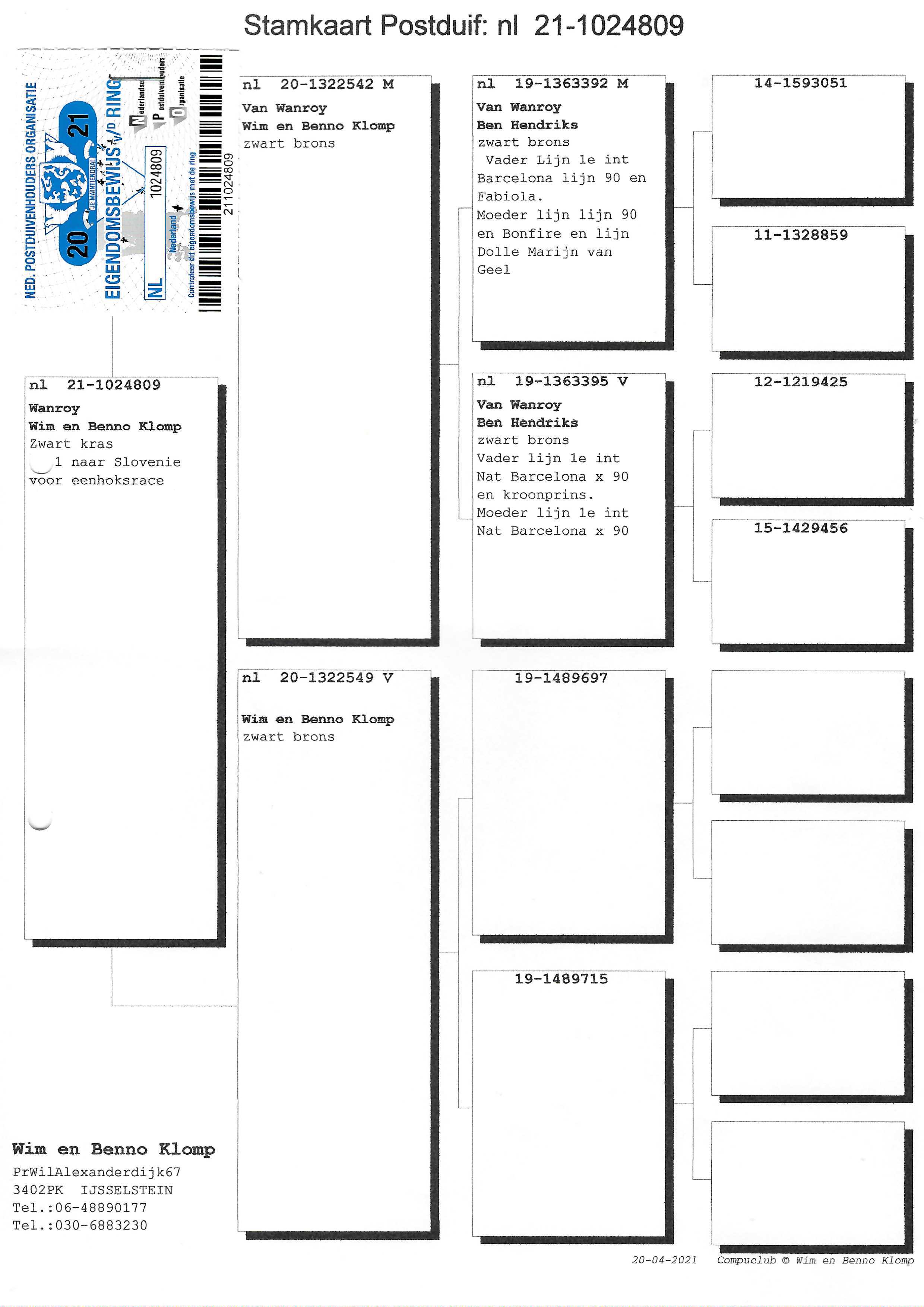 Pigeon pedigree image