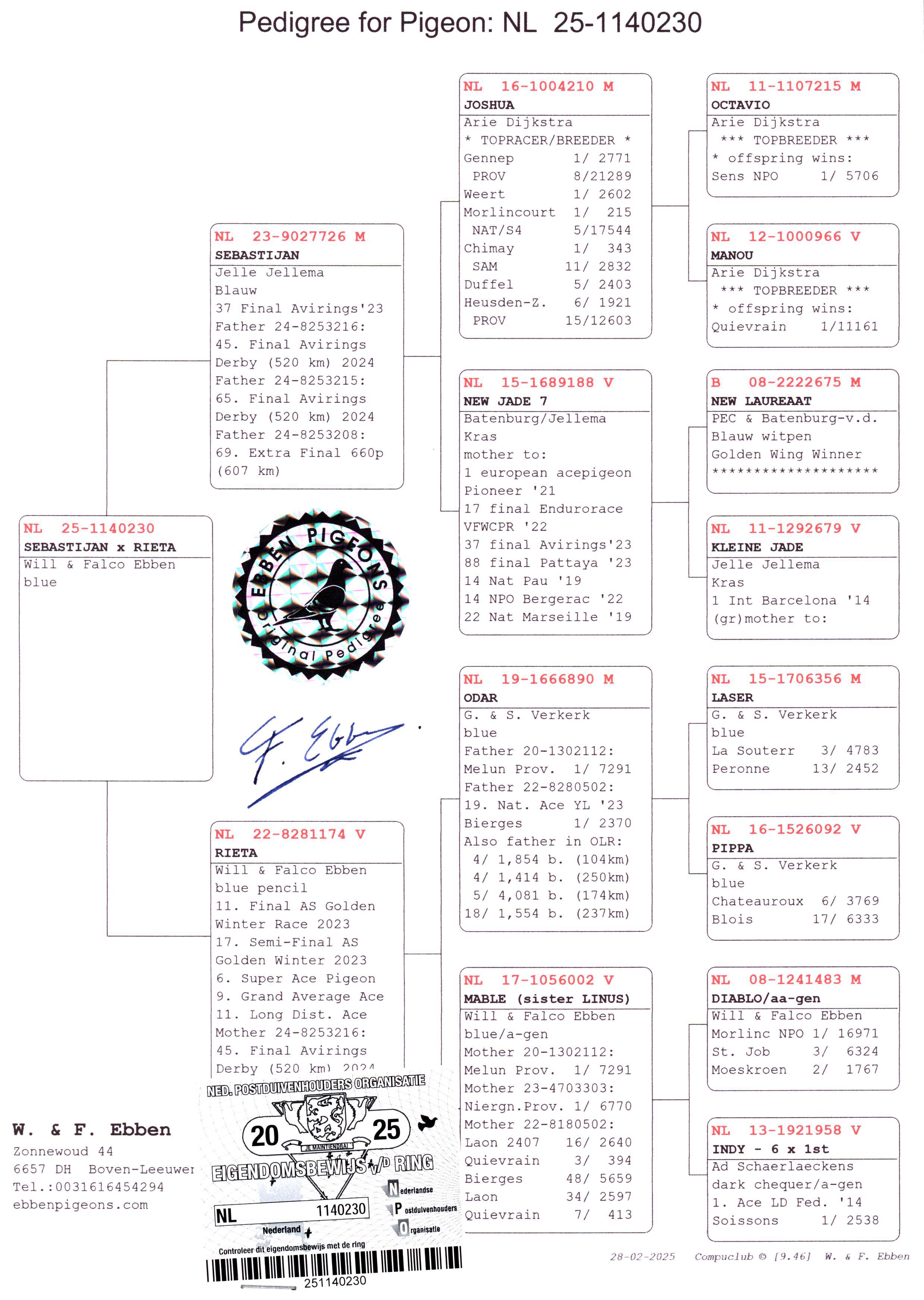 Pigeon pedigree image