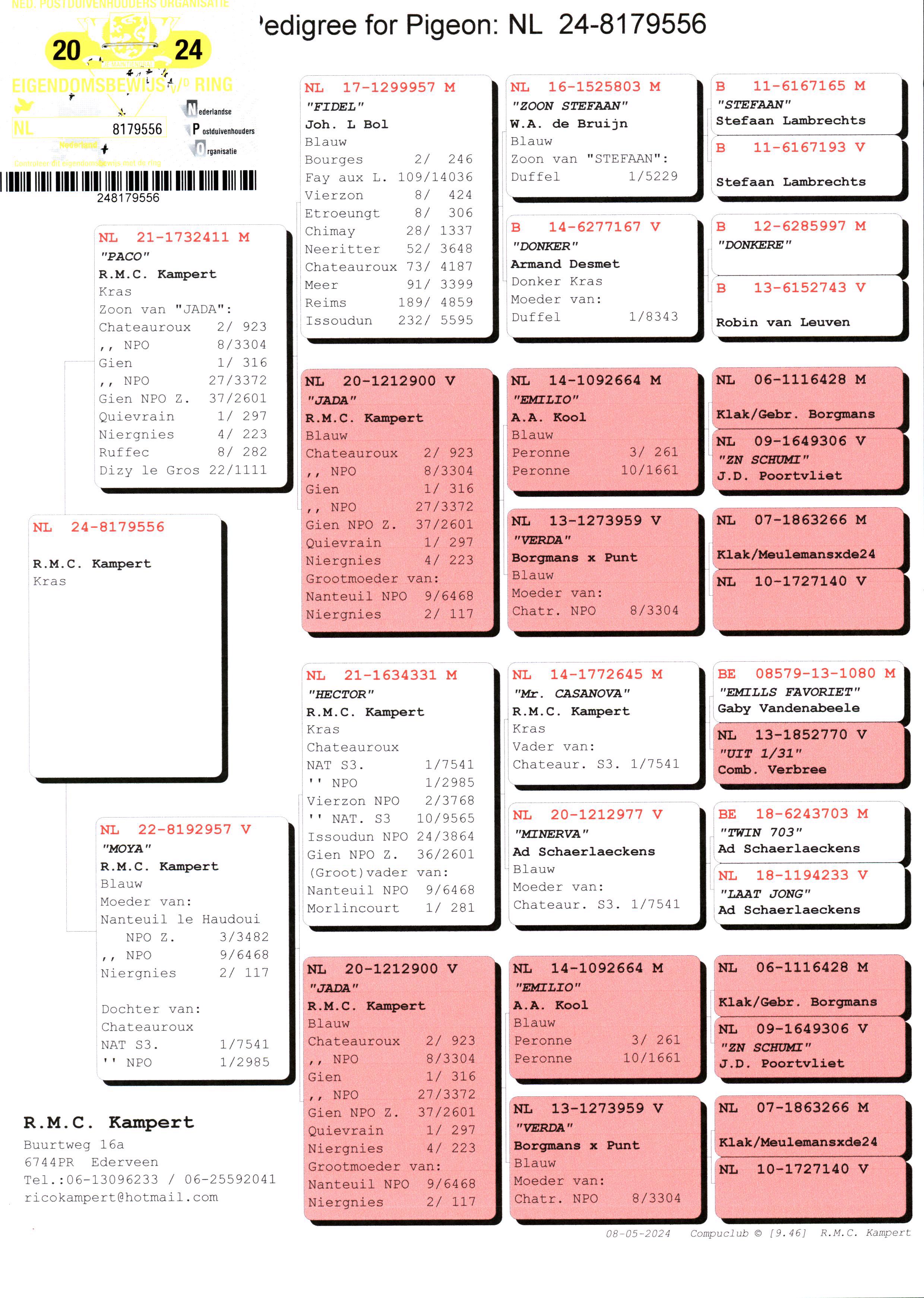 Pigeon pedigree image